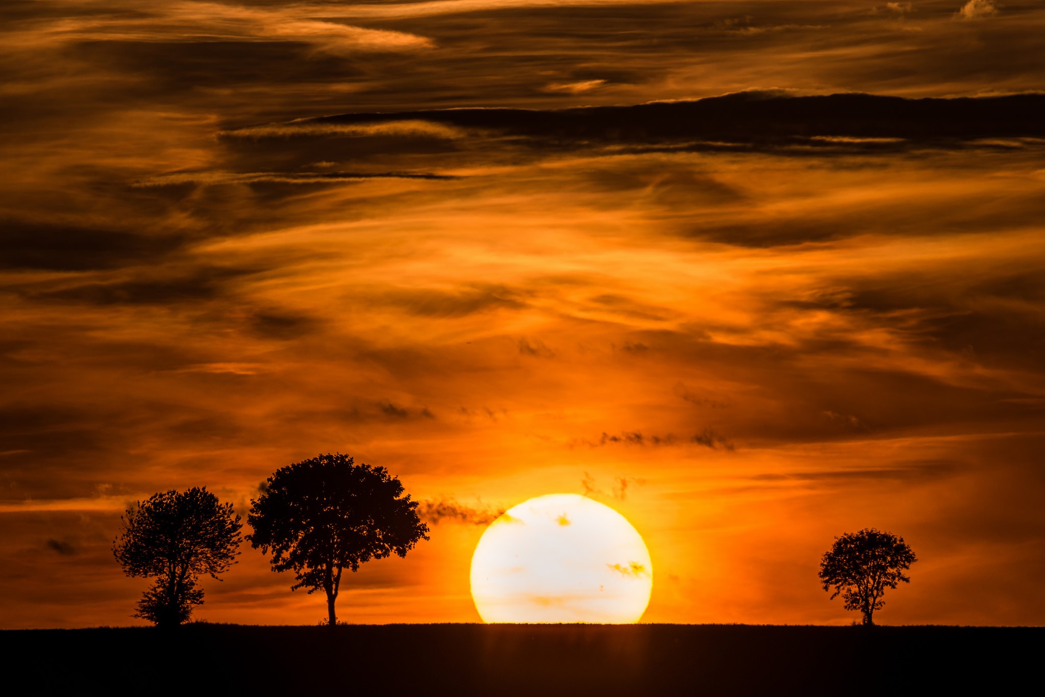 Sunset with silhouetted trees on a hill HD Wallpaper
