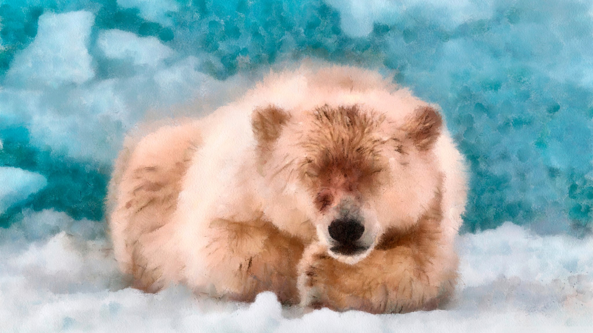 Polar bear sleeping on ice HD Wallpaper