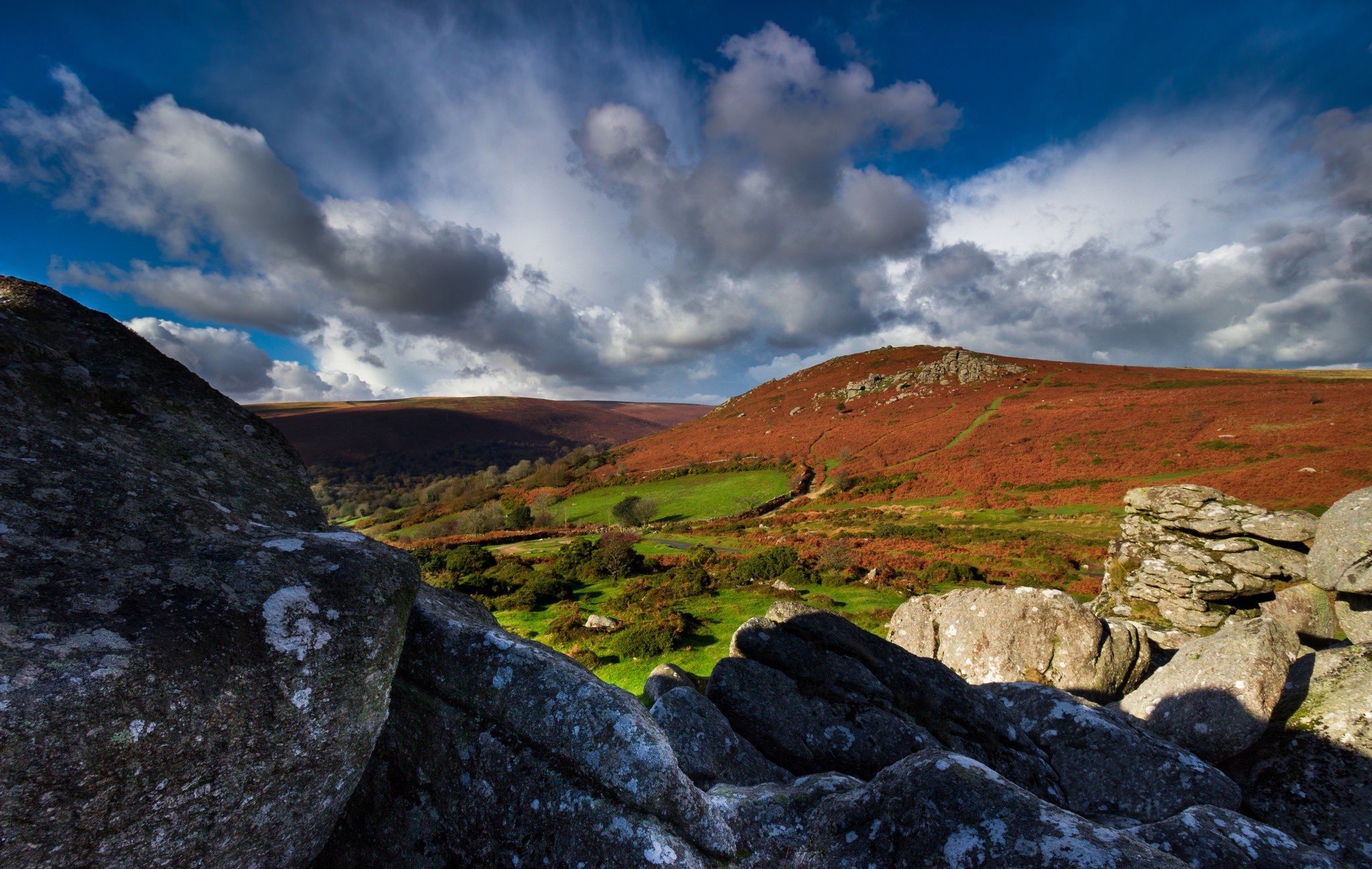 Rocky landscape with heather-covered hills under a cloudy sky HD Wallpaper