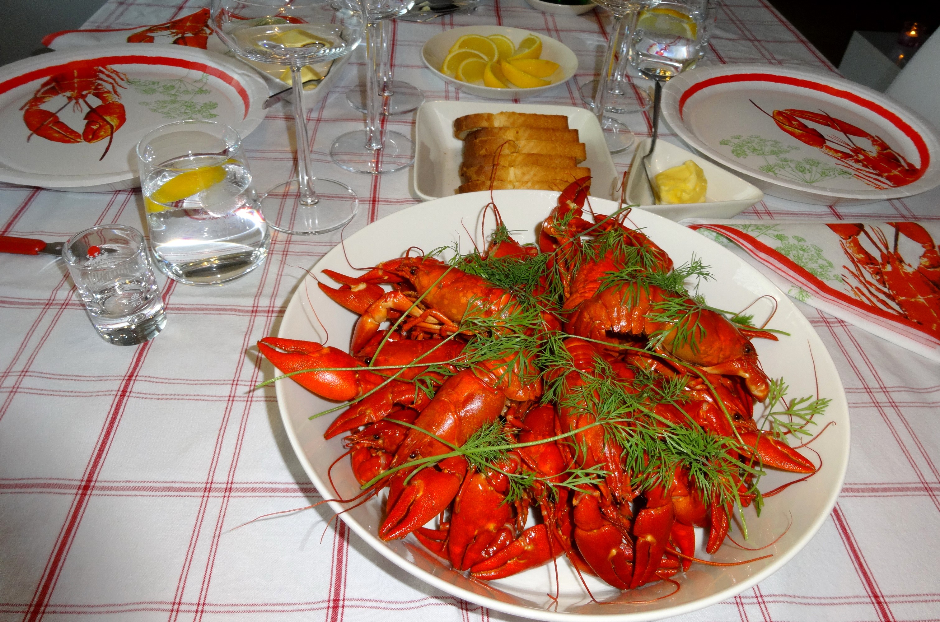 Table set for crayfish feast with dill and bread HD Wallpaper