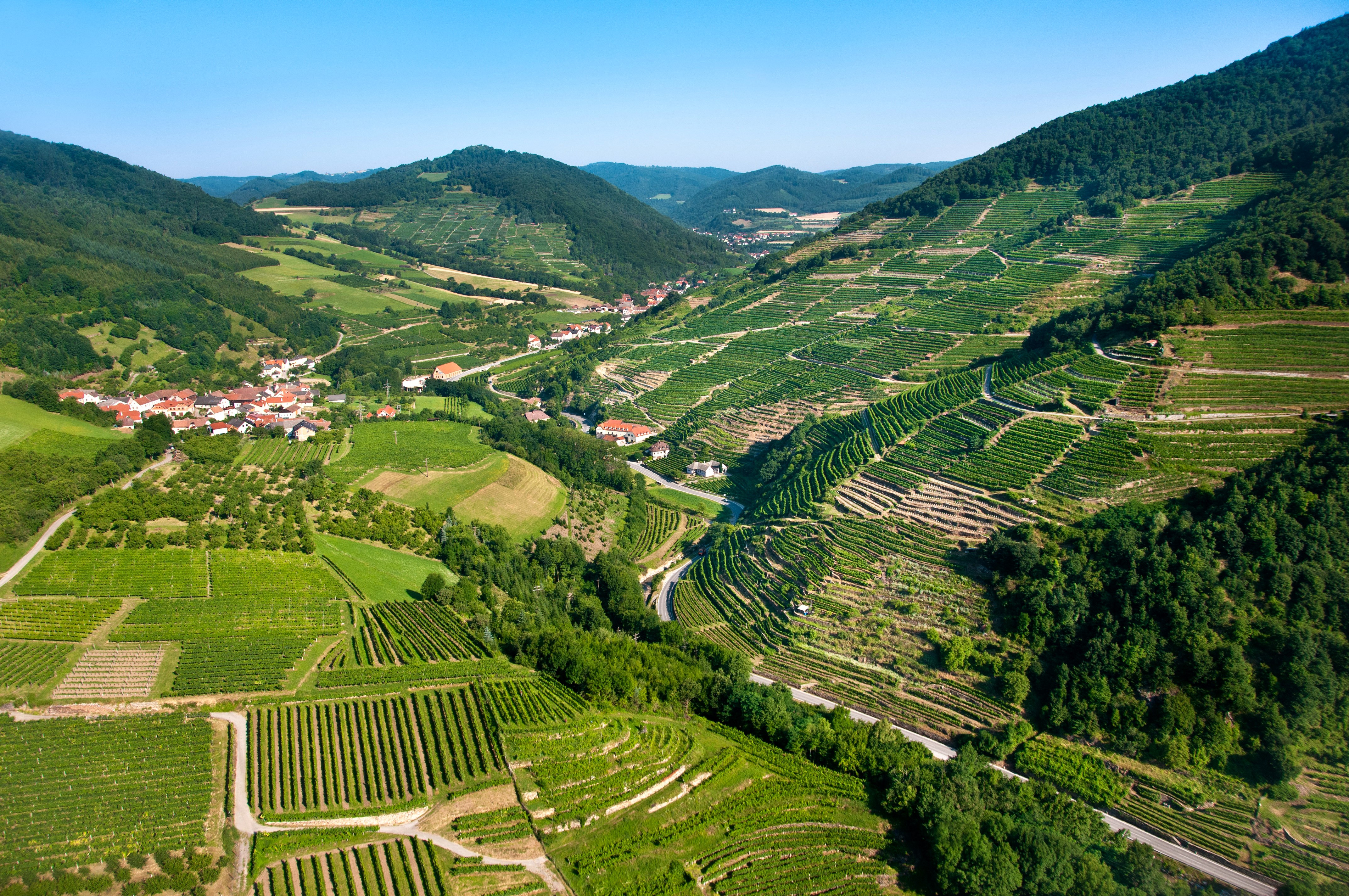 Wachau, Austria Scenery with Vineyards HD Wallpaper