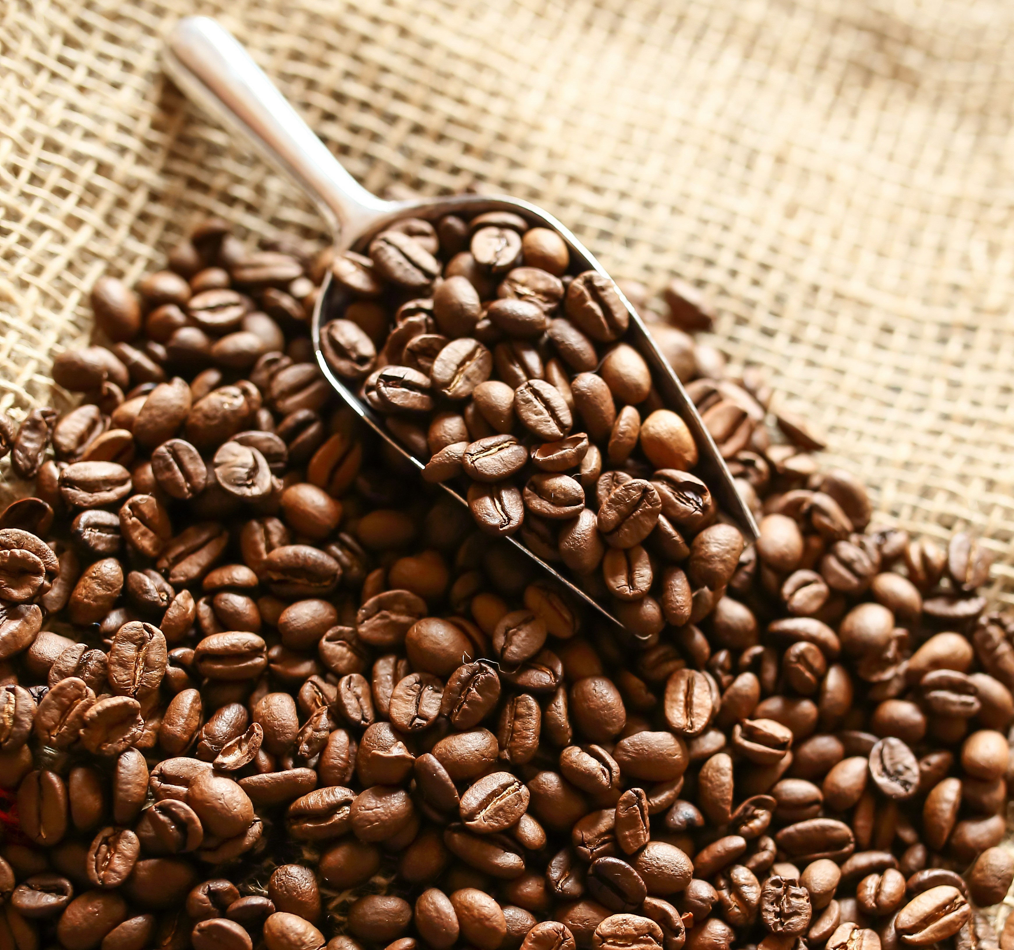 Coffee beans in a metal scoop on burlap HD Wallpaper