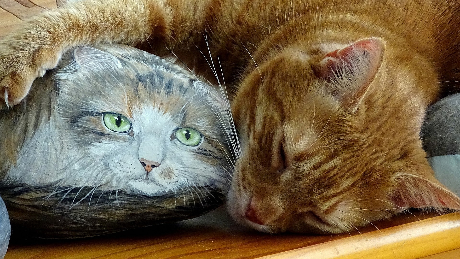 Ginger cat sleeping next to a painted rock cat HD Wallpaper