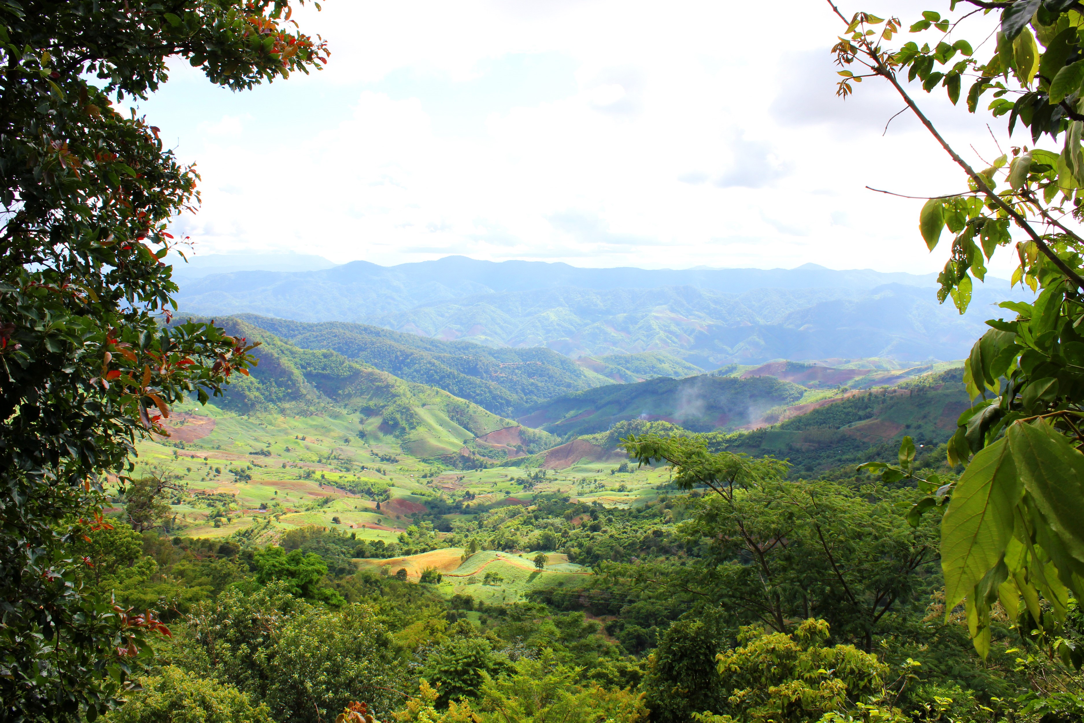 View of rolling green hills and mountains in Sumatra, Indonesia HD Wallpaper