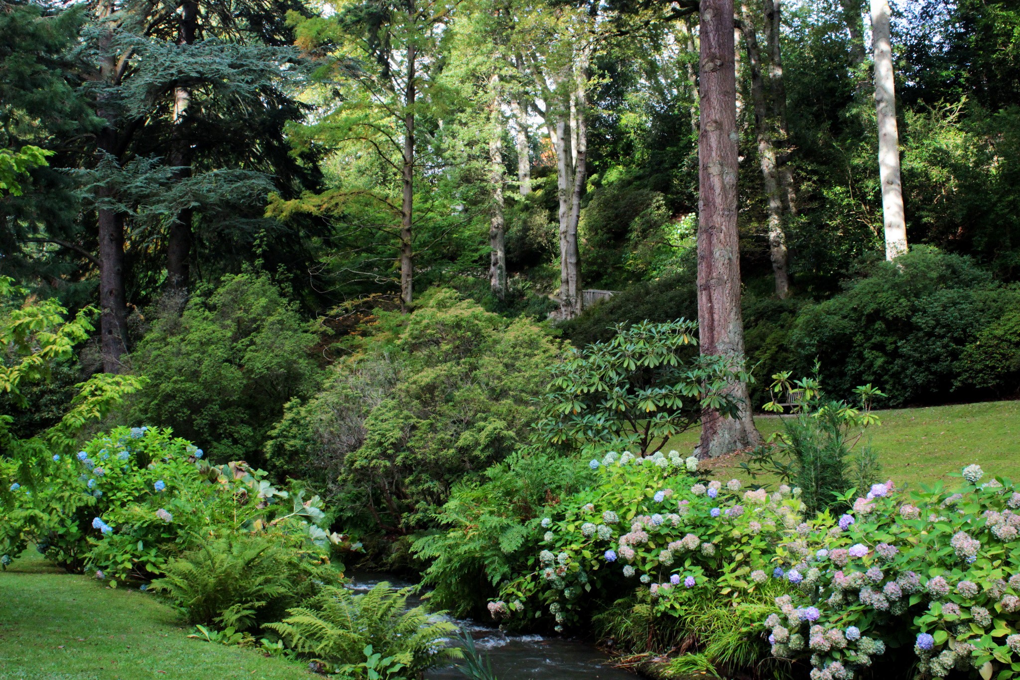 Bodnant Garden, United Kingdom, with trees and shrubs HD Wallpaper