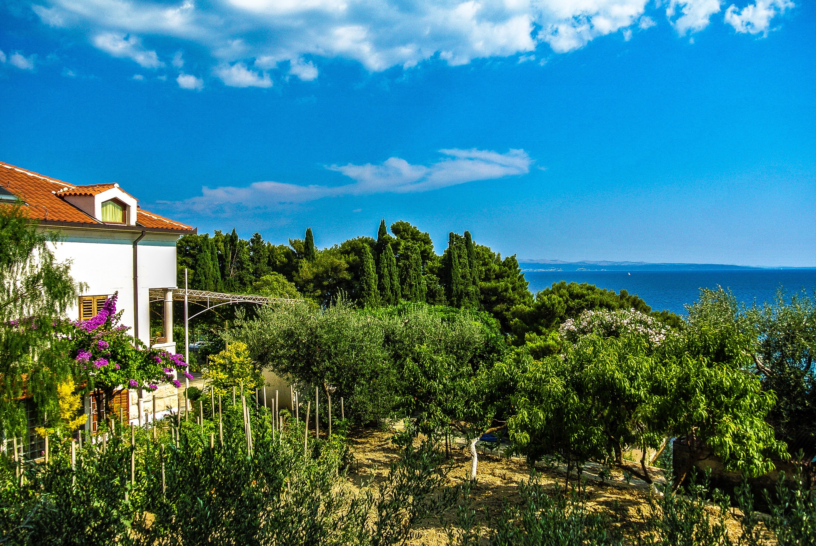 White house with orange roof overlooking the sea in Croatia HD Wallpaper