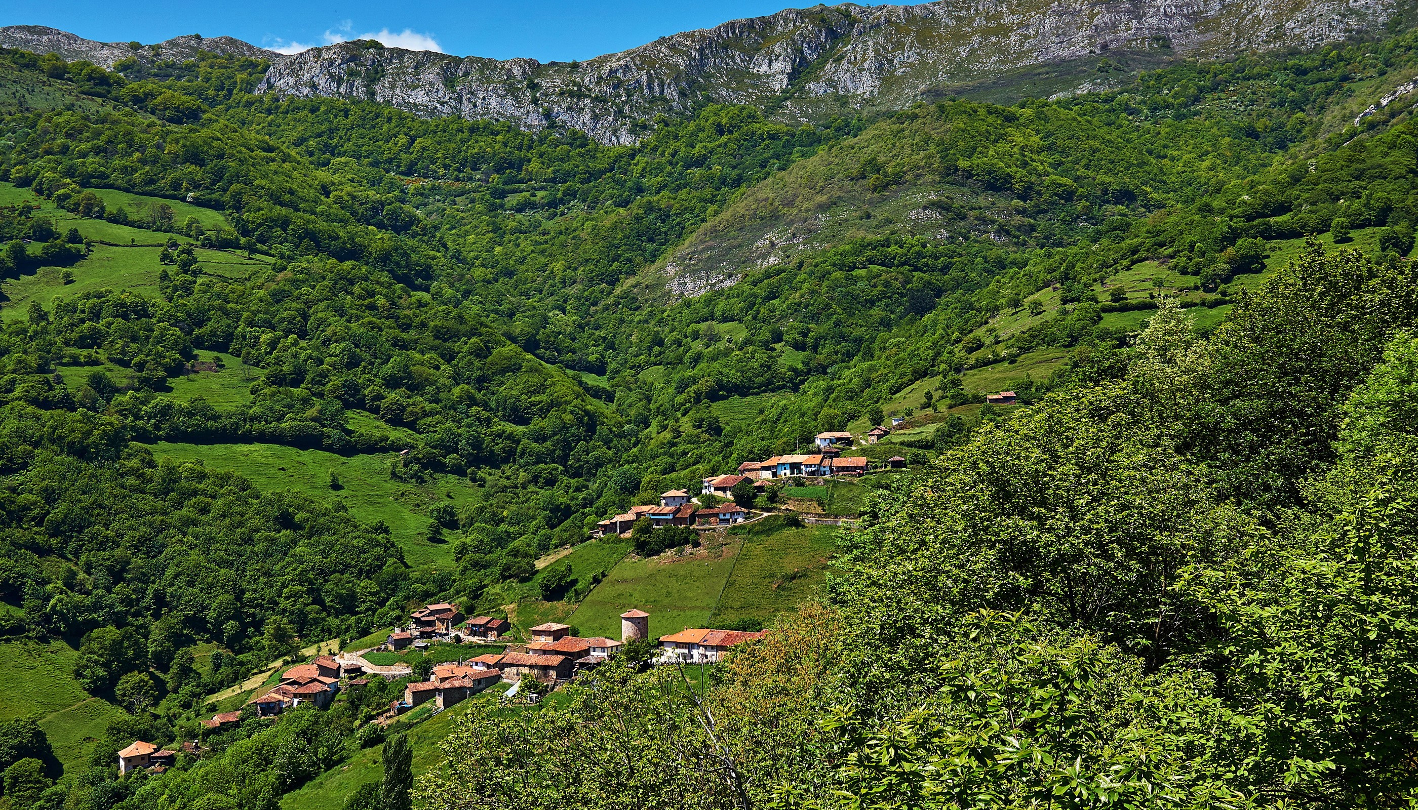 Village in a green mountain valley in Proaza, Asturias, Spain HD Wallpaper