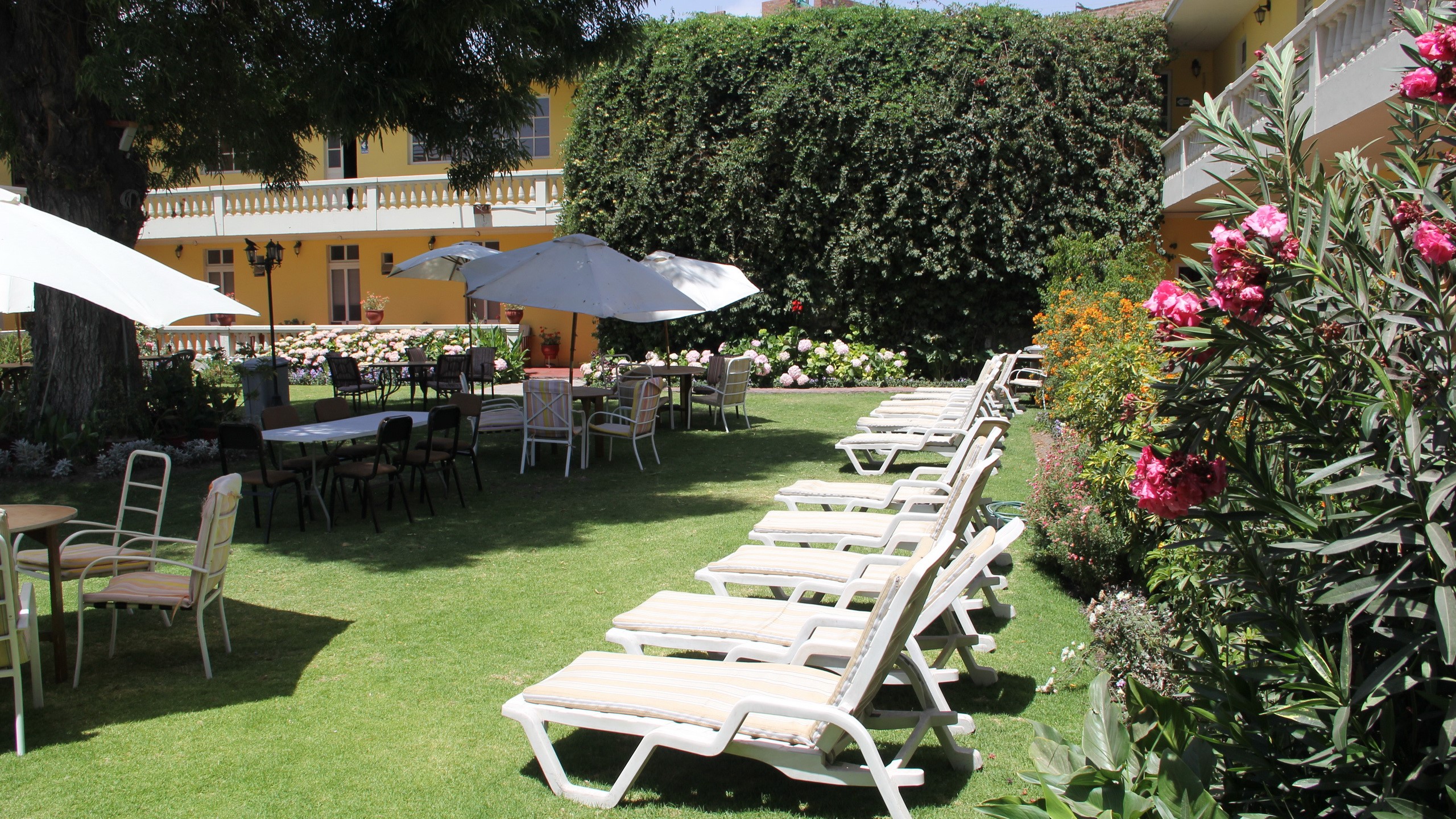 Hotel courtyard with lounge chairs and tables HD Wallpaper