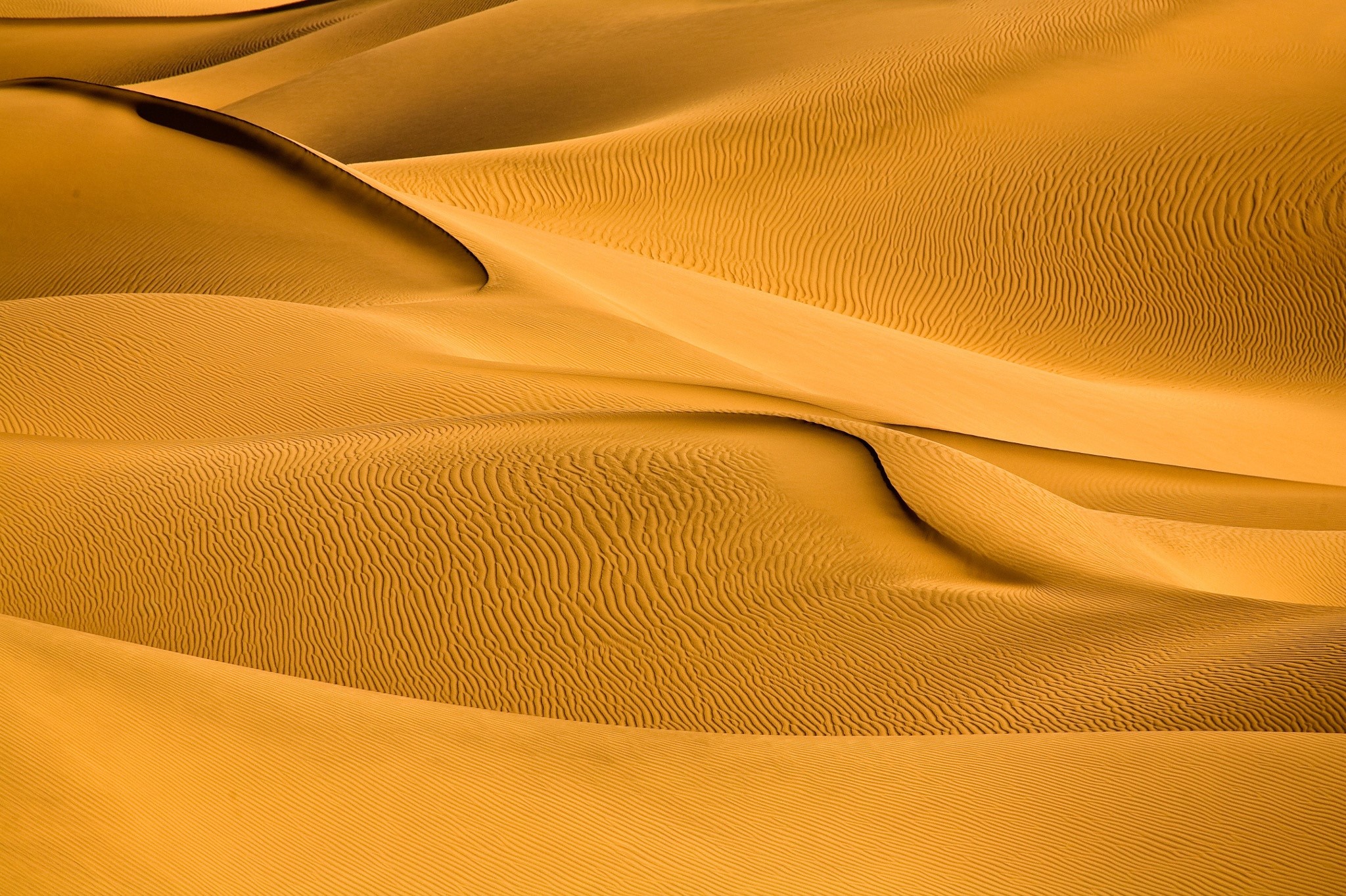 Sand dunes in the desert HD Wallpaper