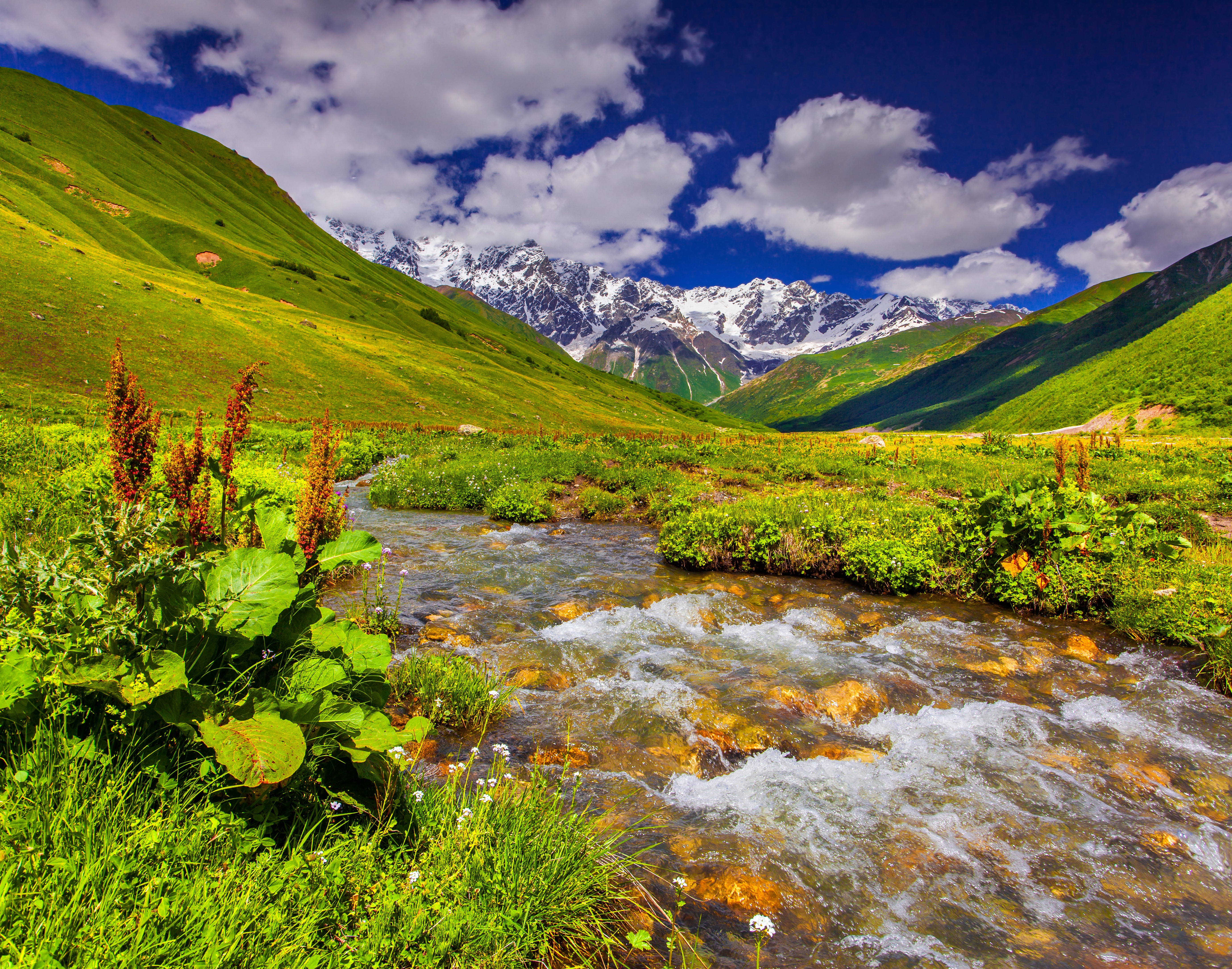 River flowing through a green valley with snow-capped mountains HD Wallpaper
