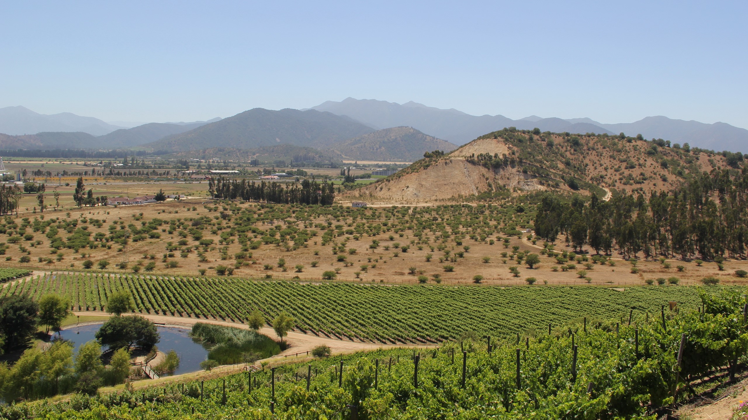 Vineyard and mountains in Chile HD Wallpaper