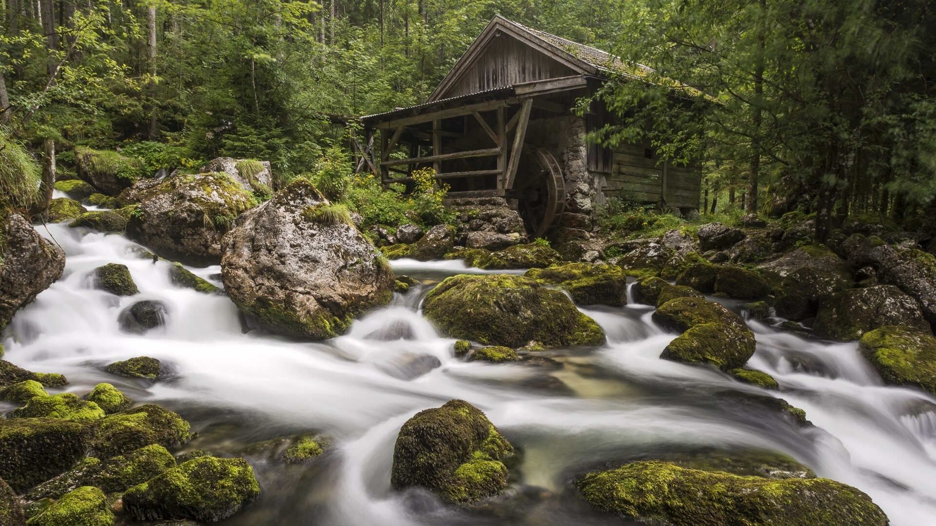 Watermill by a stream in a forest in Austria HD Wallpaper