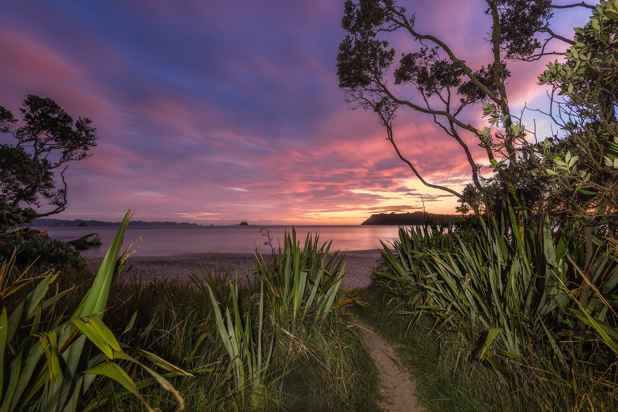 Path through grass to beach at sunset HD Wallpaper