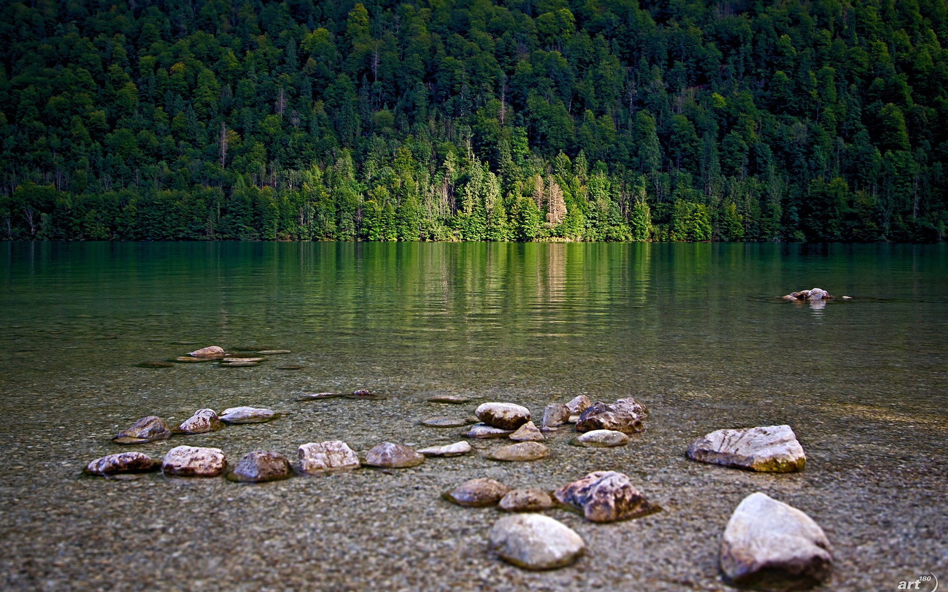 Lake with stones and forest background HD Wallpaper