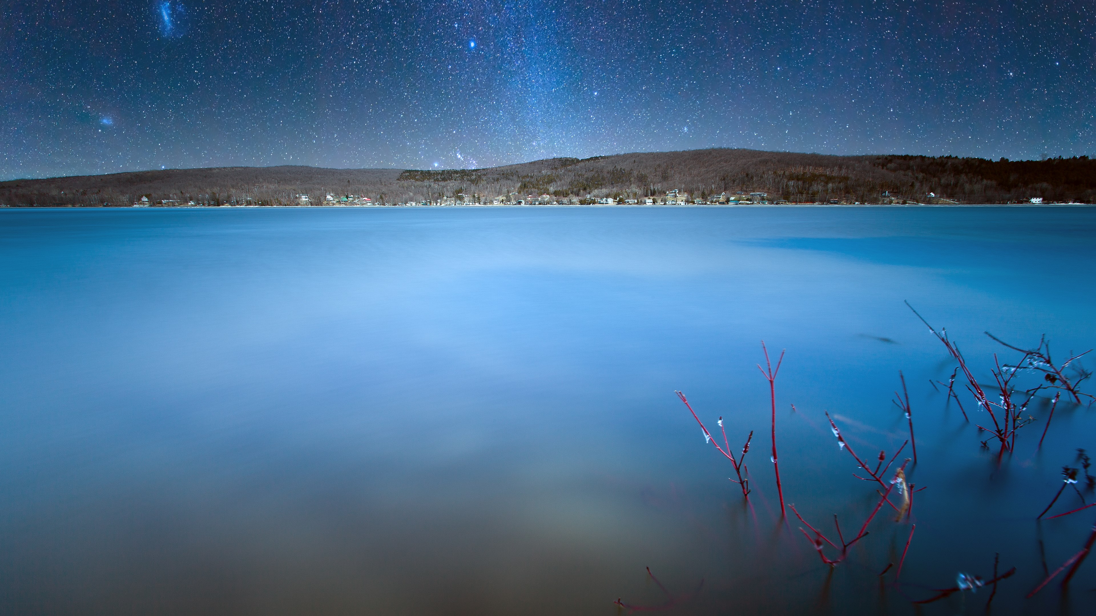 Night sky over a lake with trees and branches HD Wallpaper