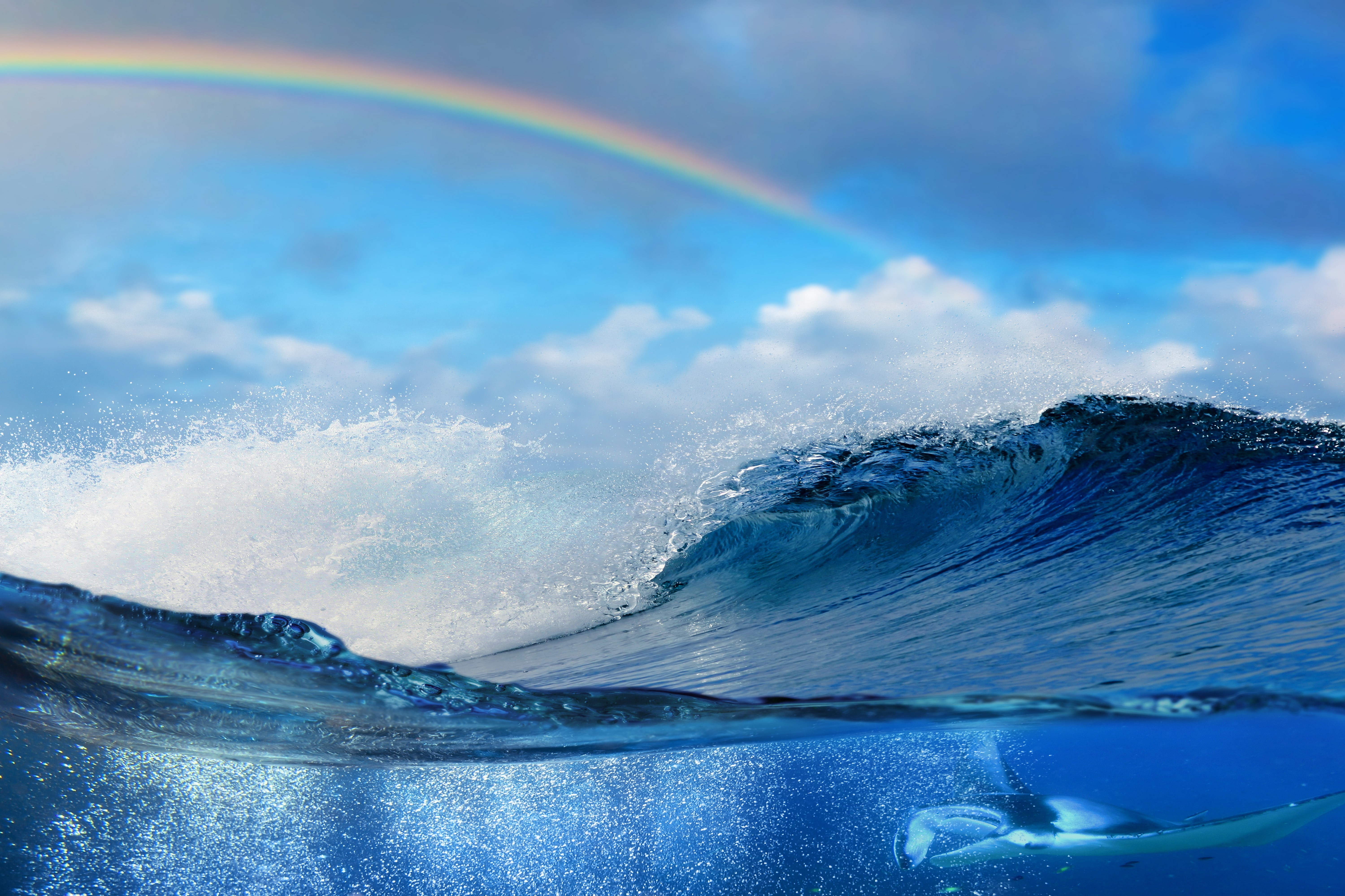 Ocean wave with manta ray and rainbow HD Wallpaper