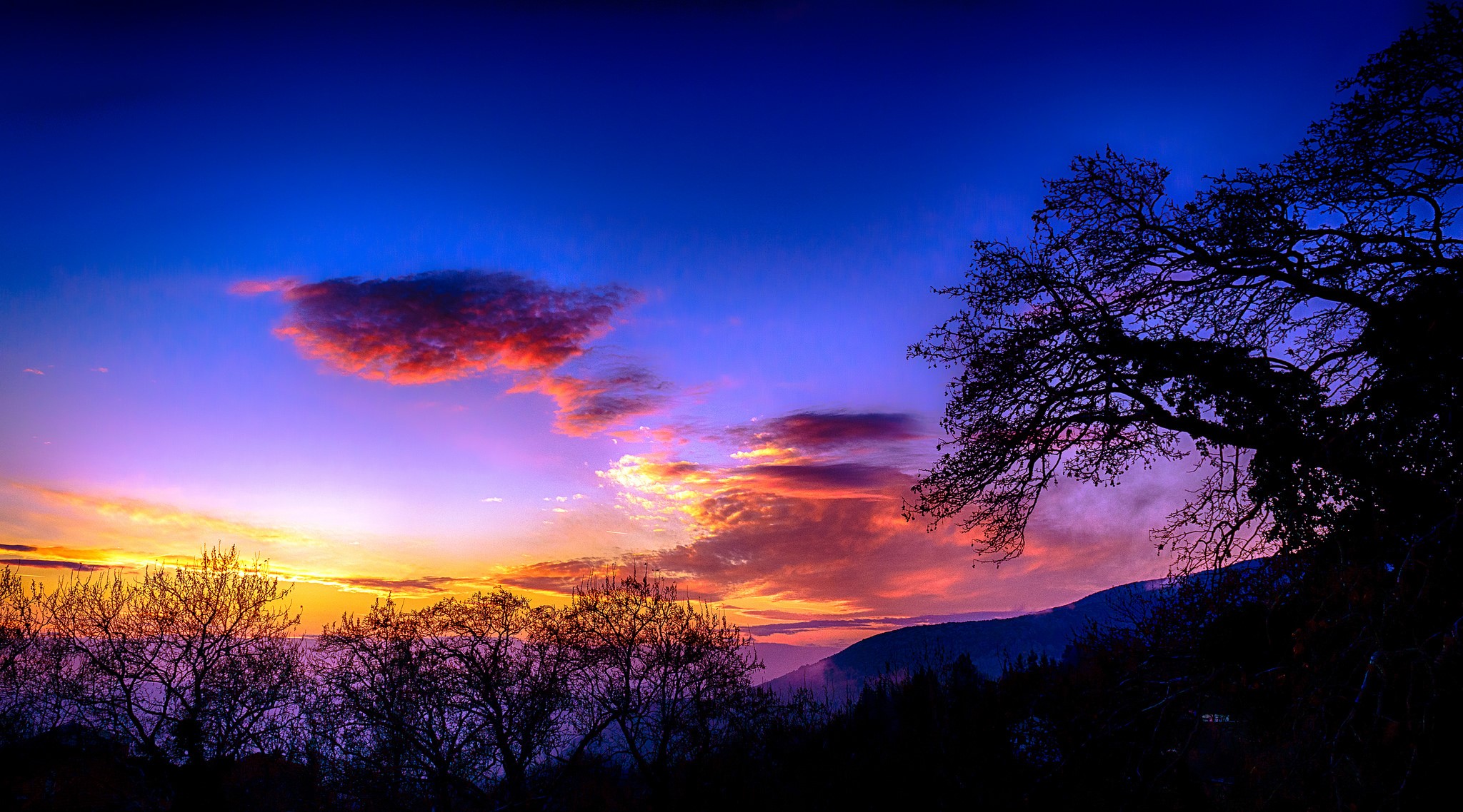 Sunset over mountains with silhouetted trees HD Wallpaper