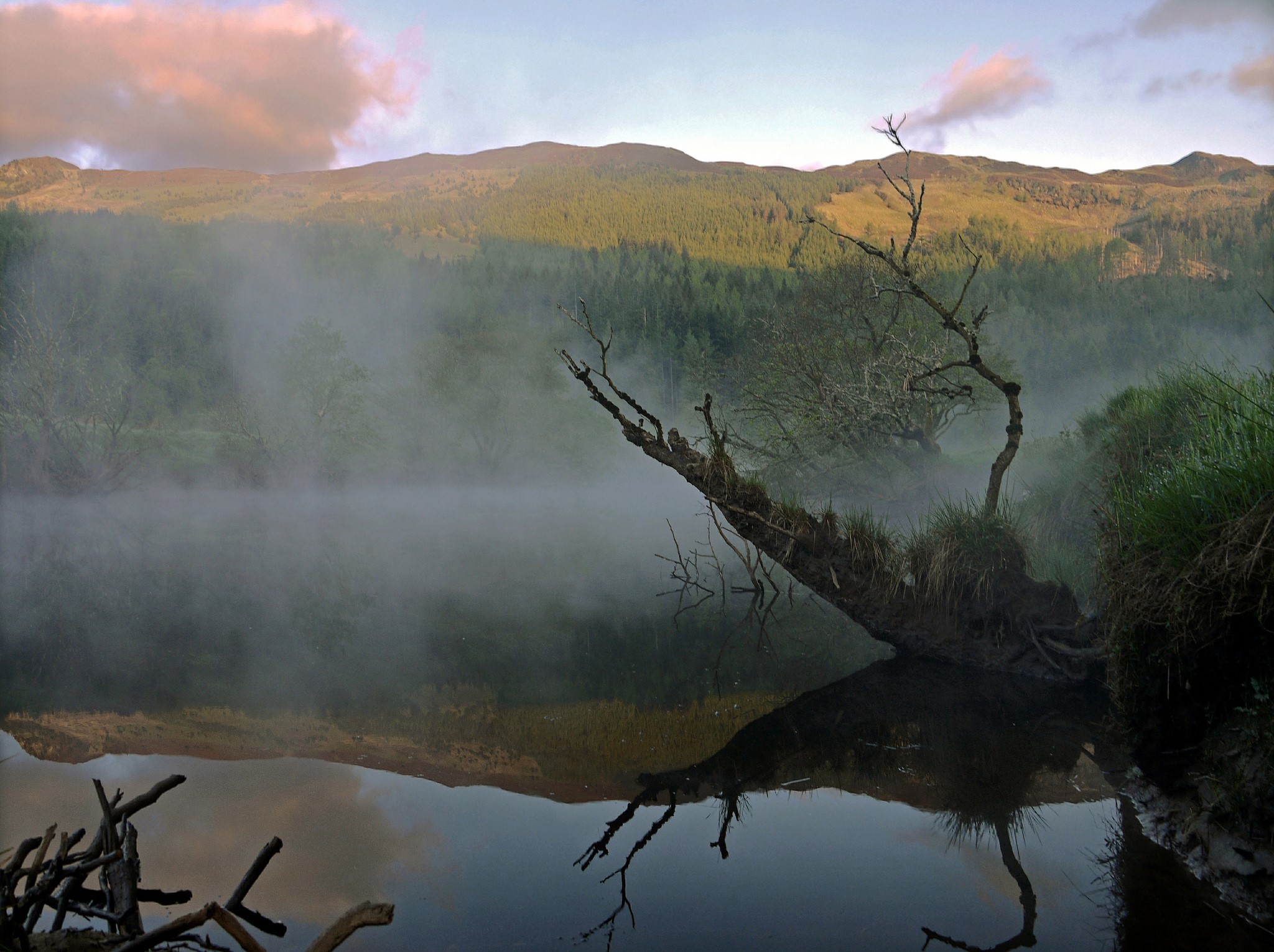 Misty lake with fallen tree and mountains HD Wallpaper