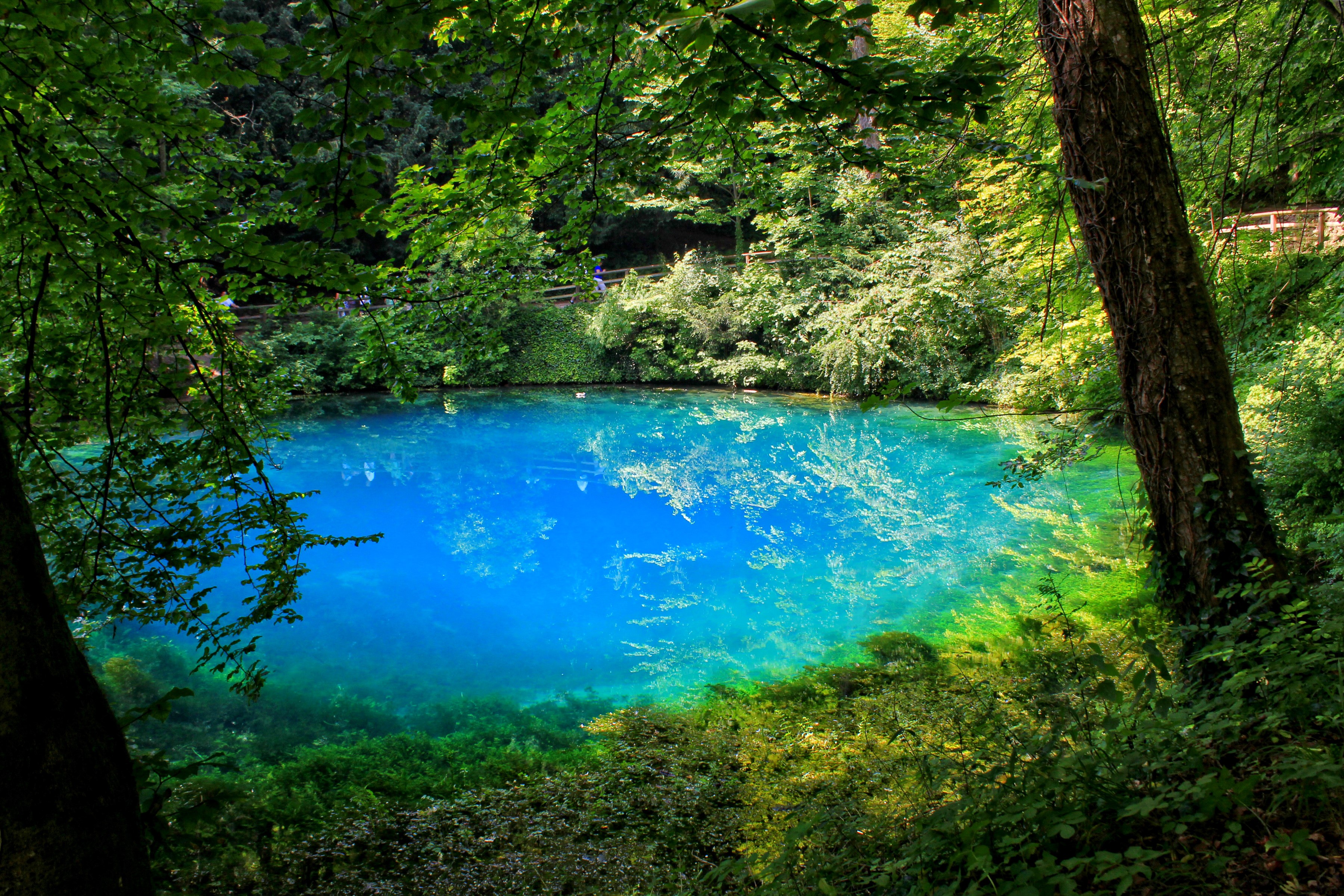 Blue lake in a forest near Blaubeuren, Germany HD Wallpaper