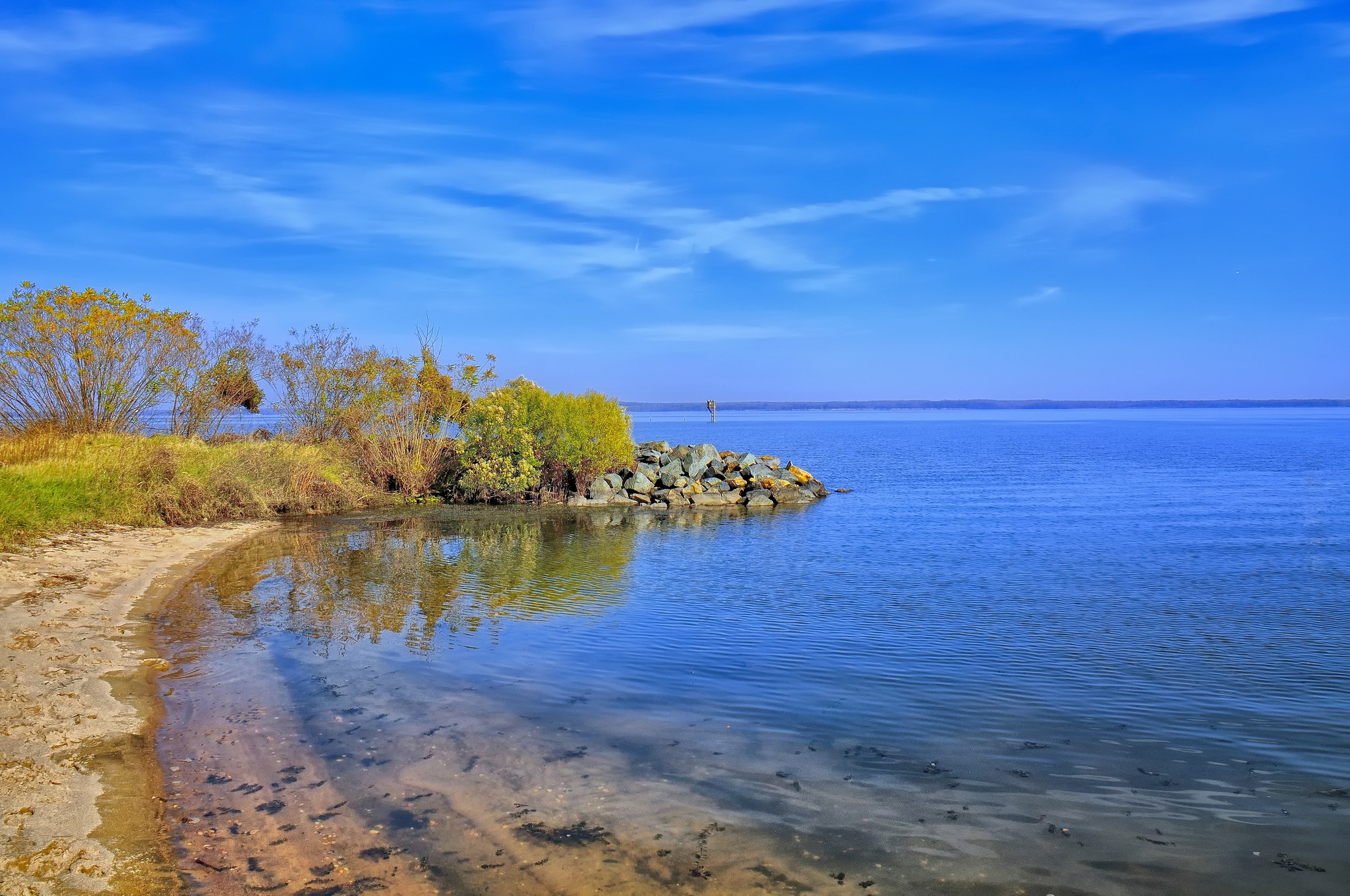 Shoreline with trees and calm blue water HD Wallpaper