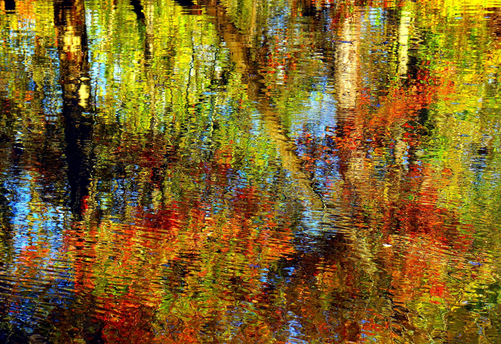 Autumn Reflections on Rippling Water HD Wallpaper