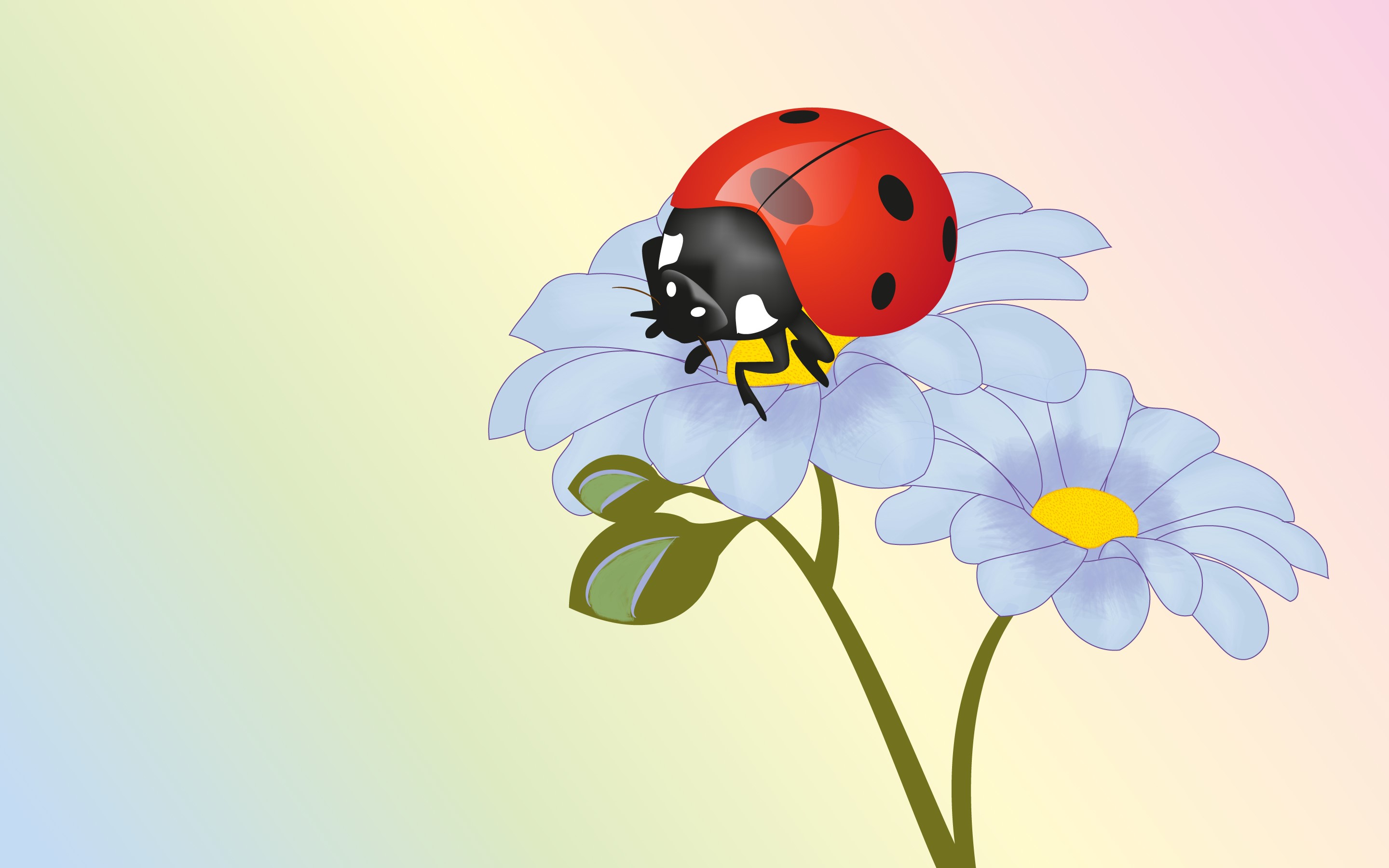 Ladybug on a daisy with a gradient background HD Wallpaper