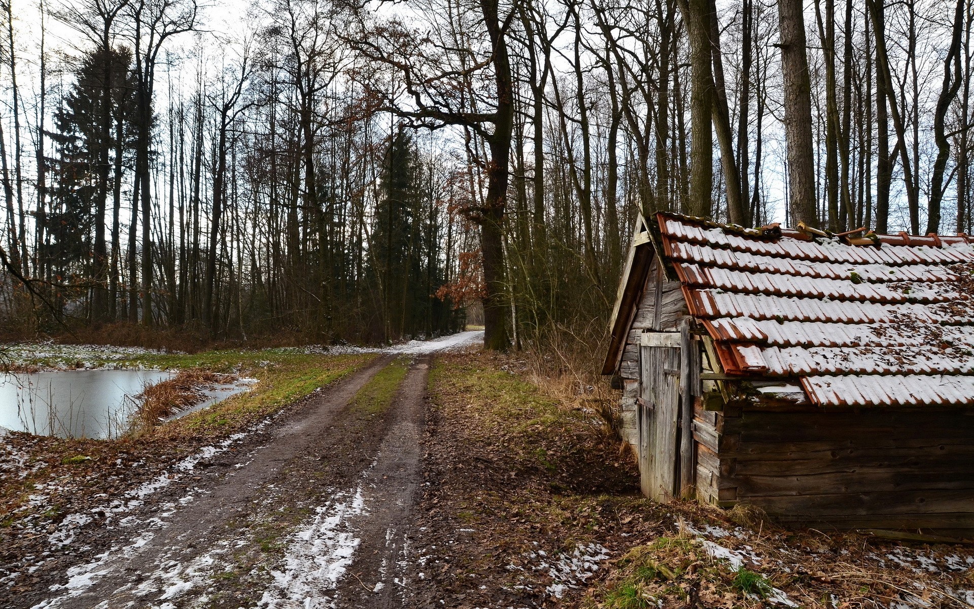 Dirt road through a forest with a small wooden house HD Wallpaper