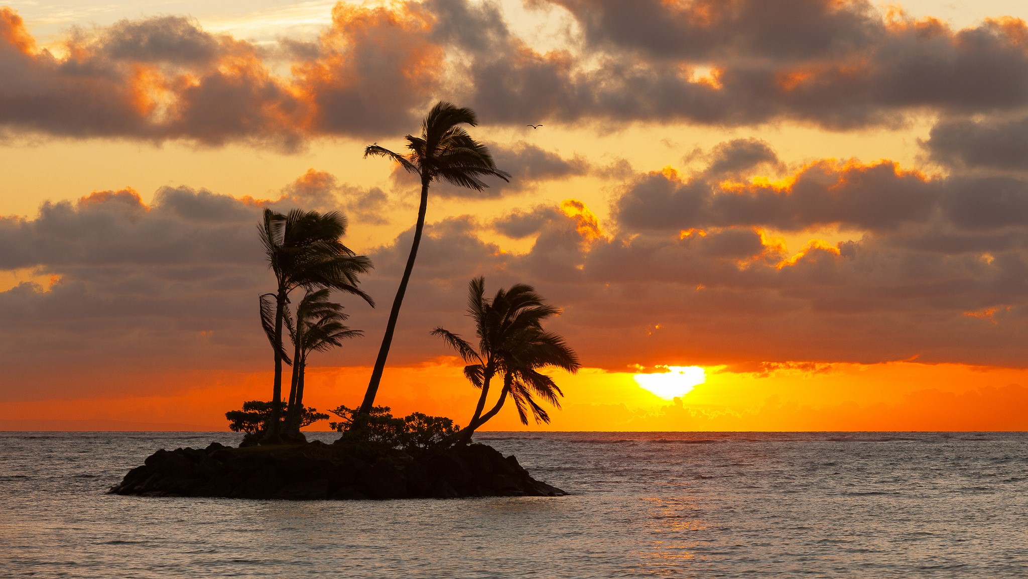 Island with palm trees at sunset HD Wallpaper