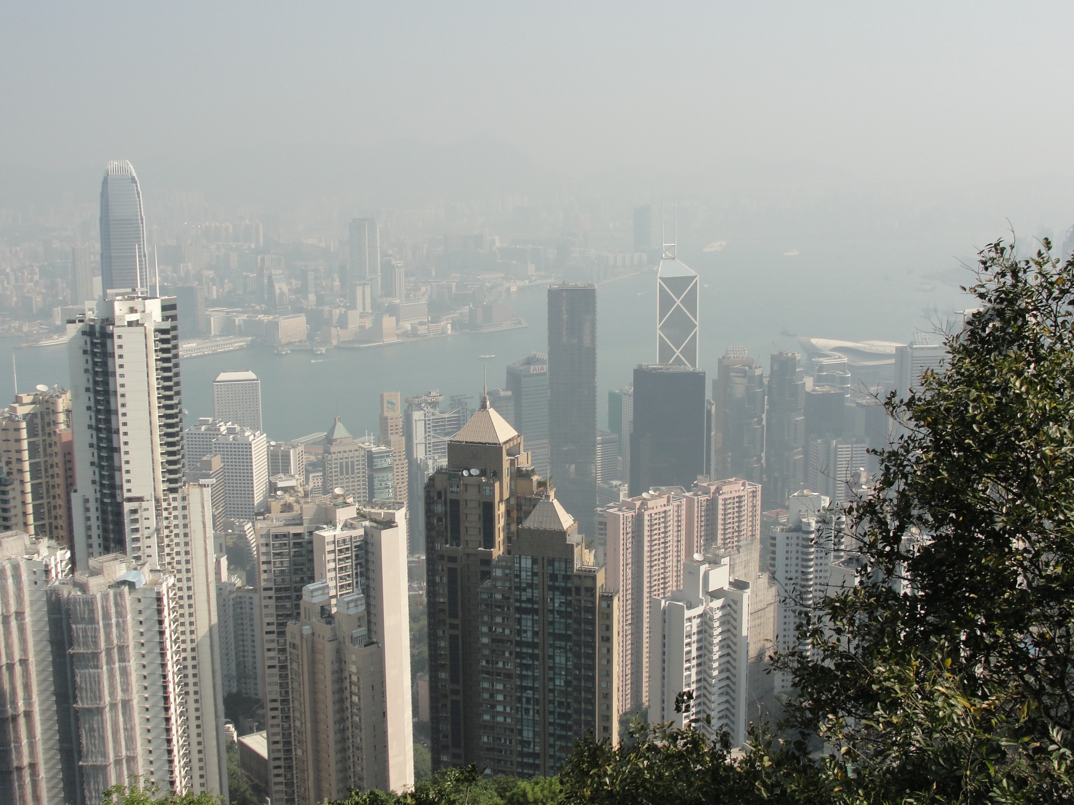 Hong Kong skyline with skyscrapers and harbor HD Wallpaper