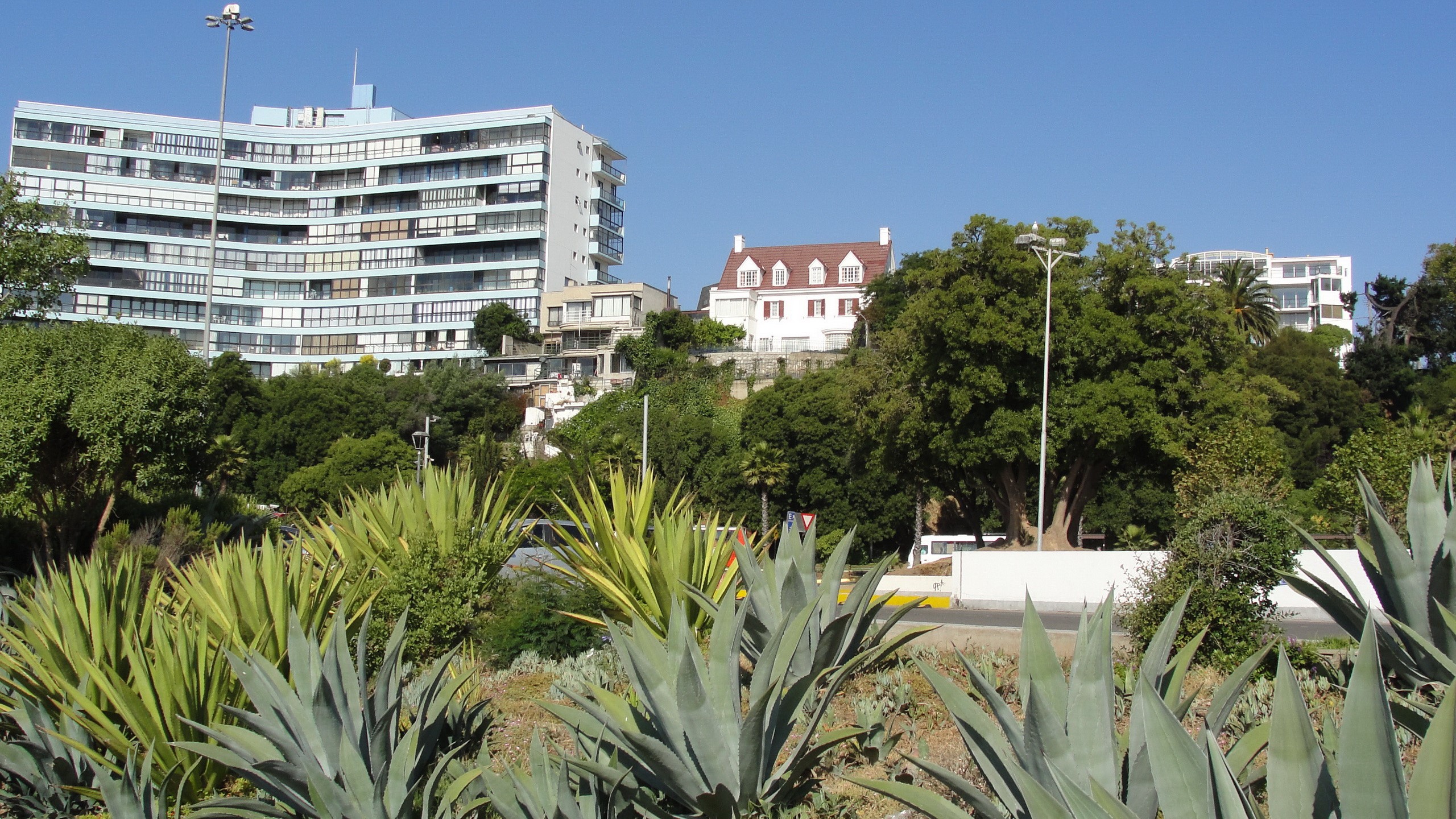 Buildings and Agave plants in Valparaiso, Chile HD Wallpaper