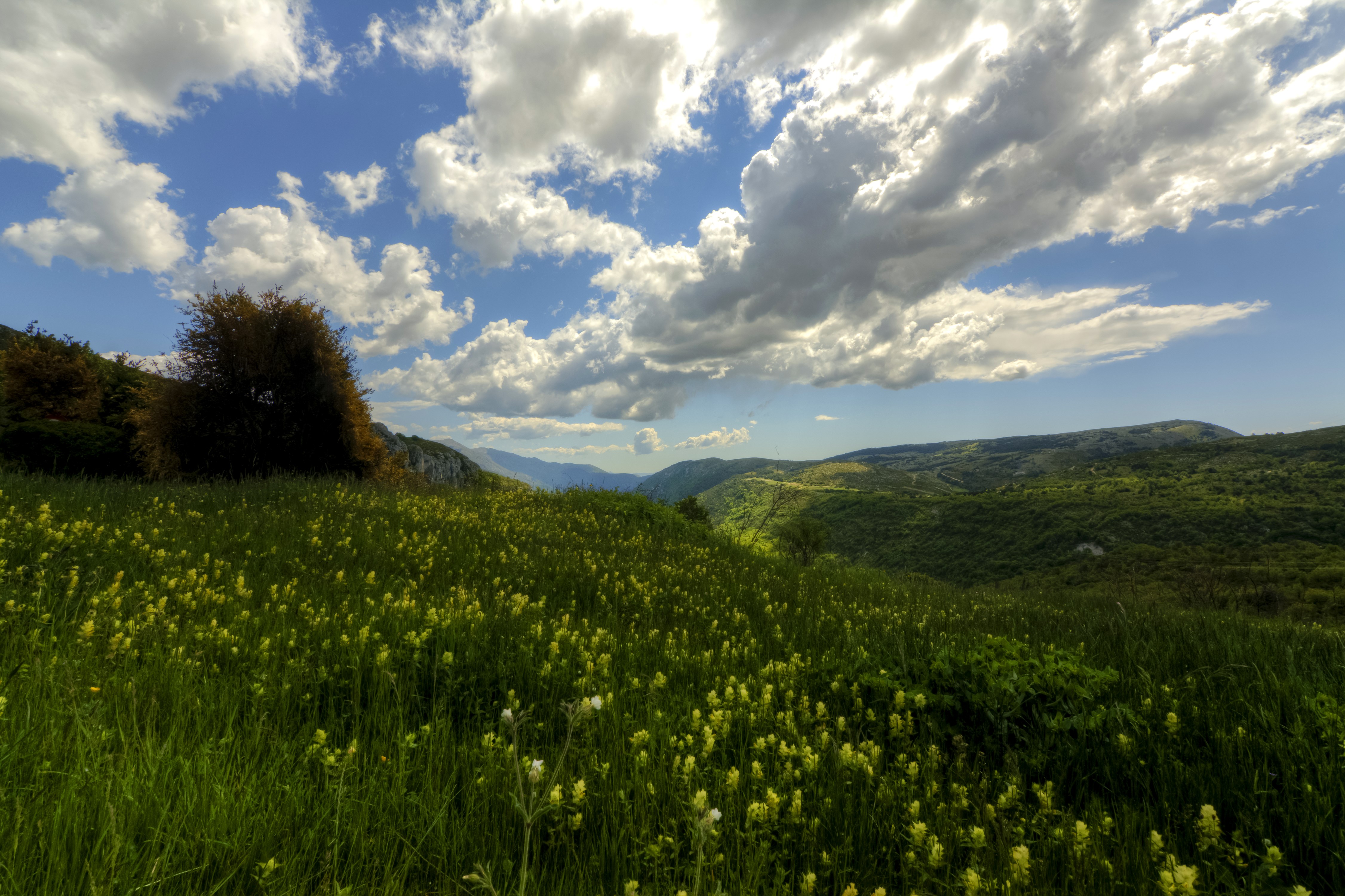 4K Scenery of Fields and Sky with Clouds HD Wallpaper