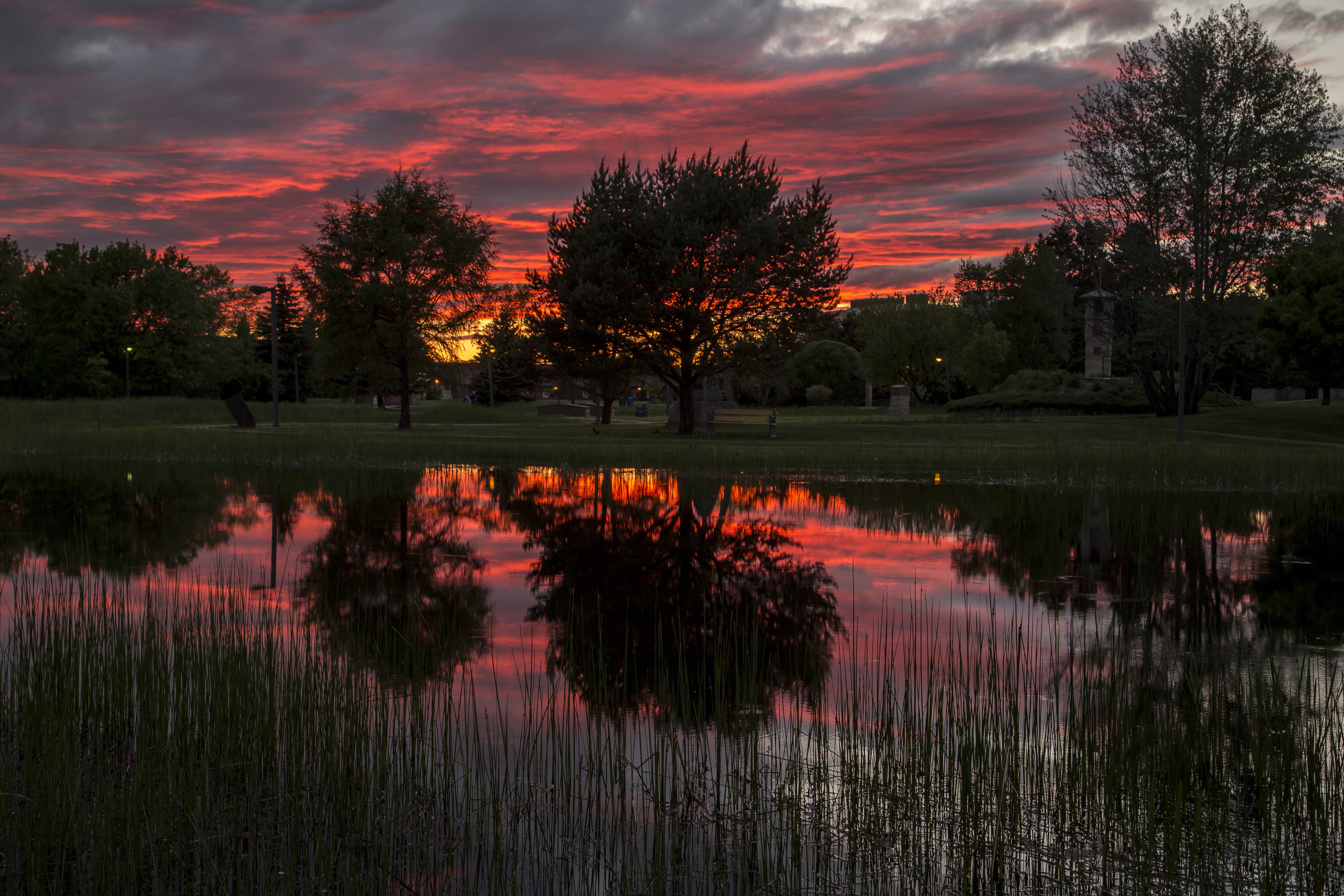 Lake with trees during a vibrant sunset HD Wallpaper