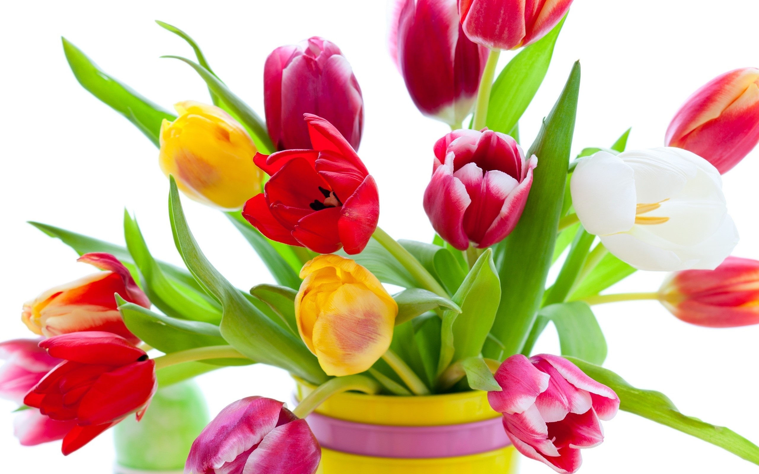 Colorful Tulips in a Yellow Vase HD Wallpaper