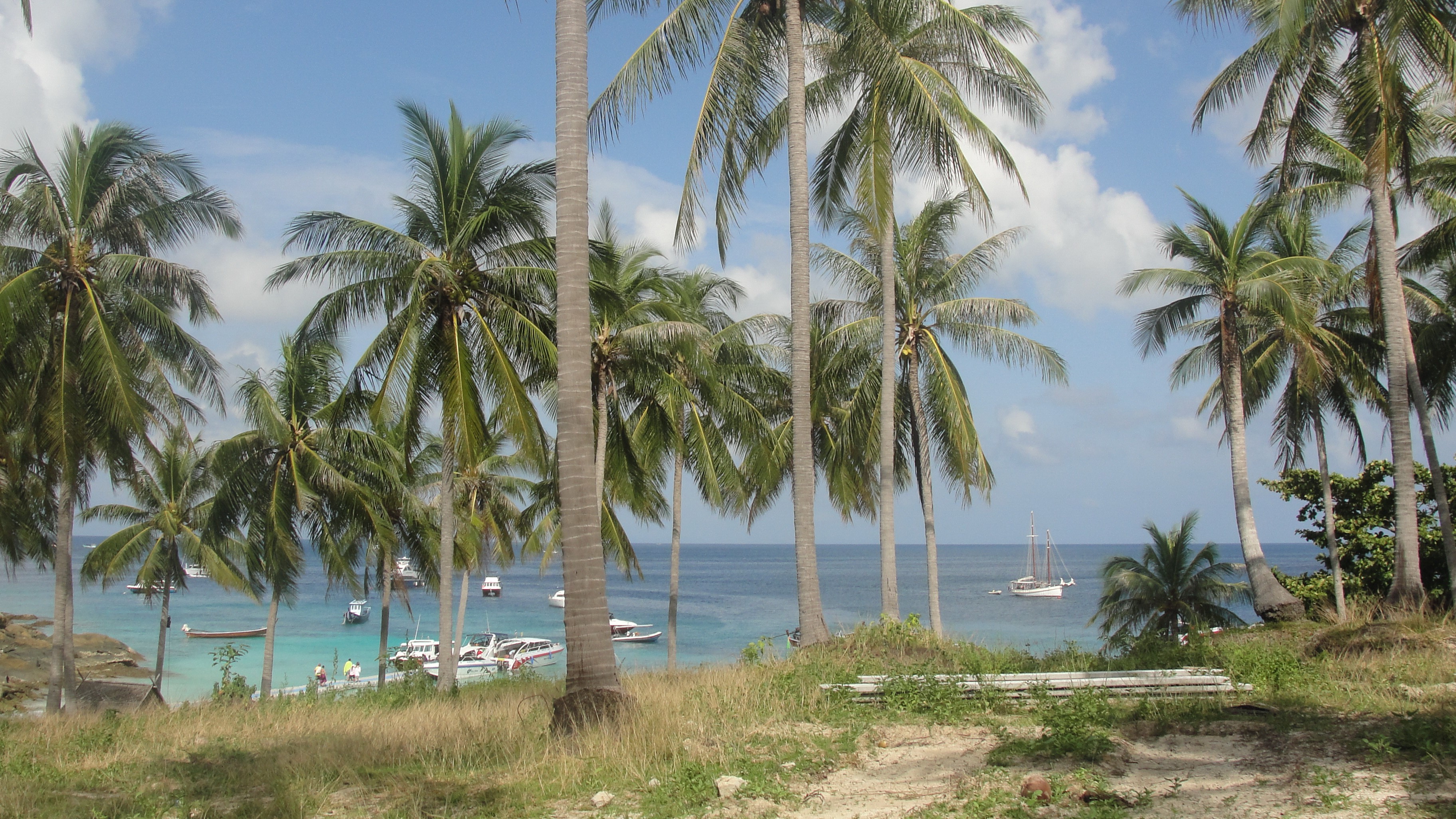 Tropical beach with palm trees and boats HD Wallpaper