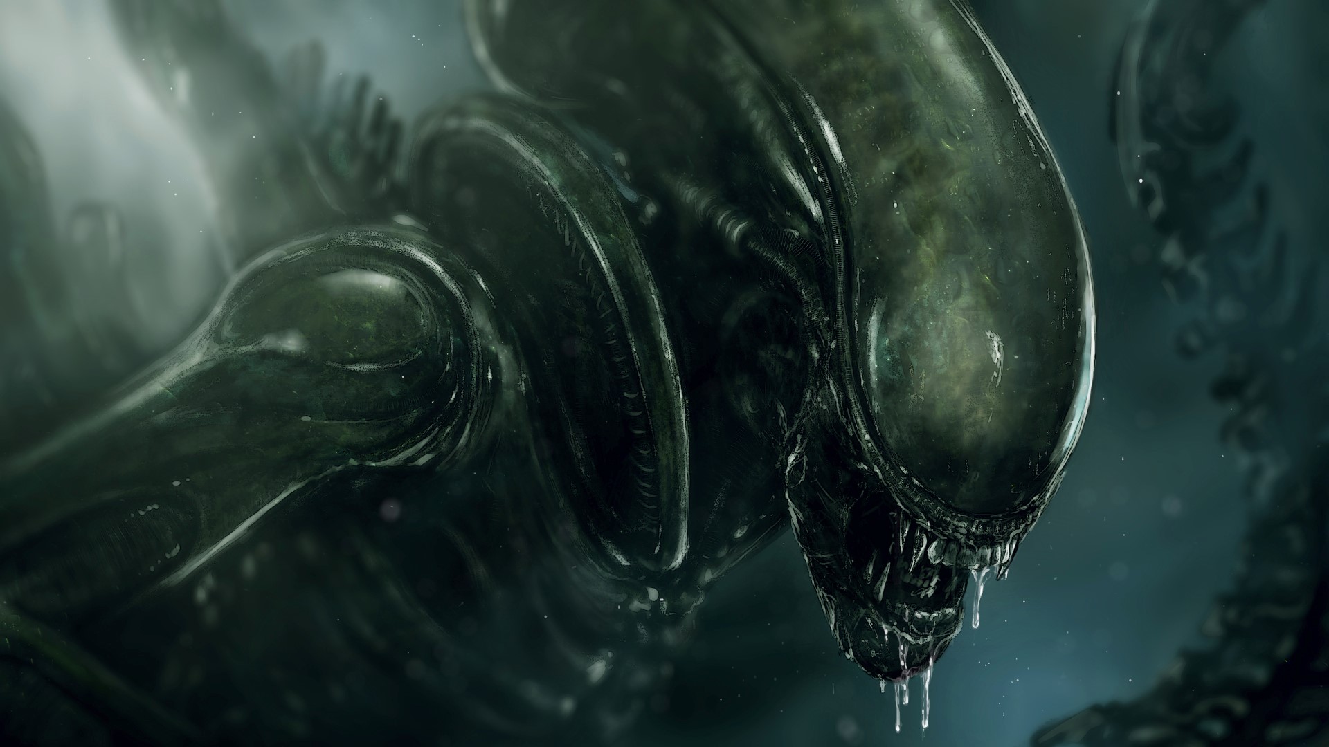 Xenomorph from Alien HD Wallpaper