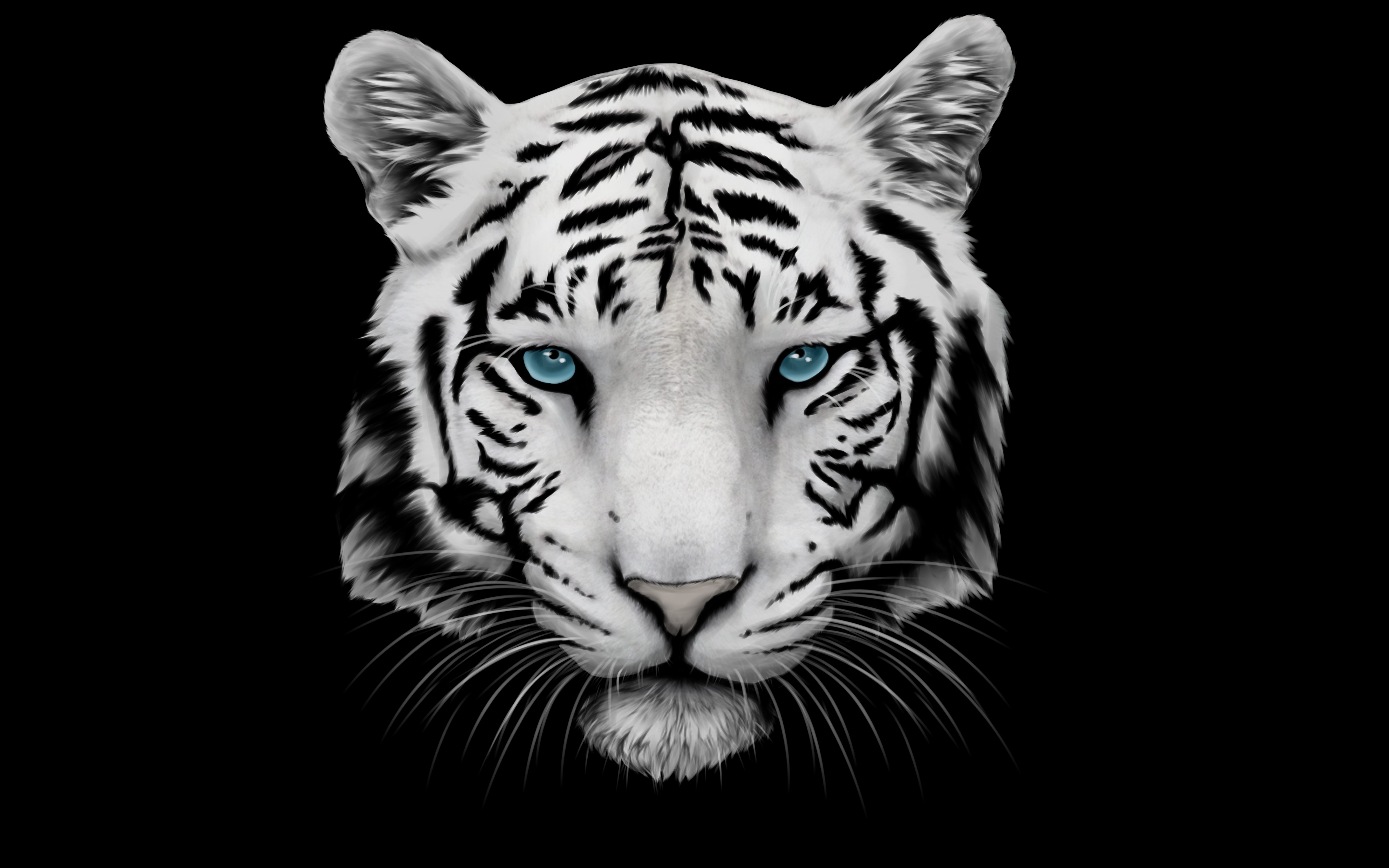 White Tiger with Blue Eyes on Black Background HD Wallpaper