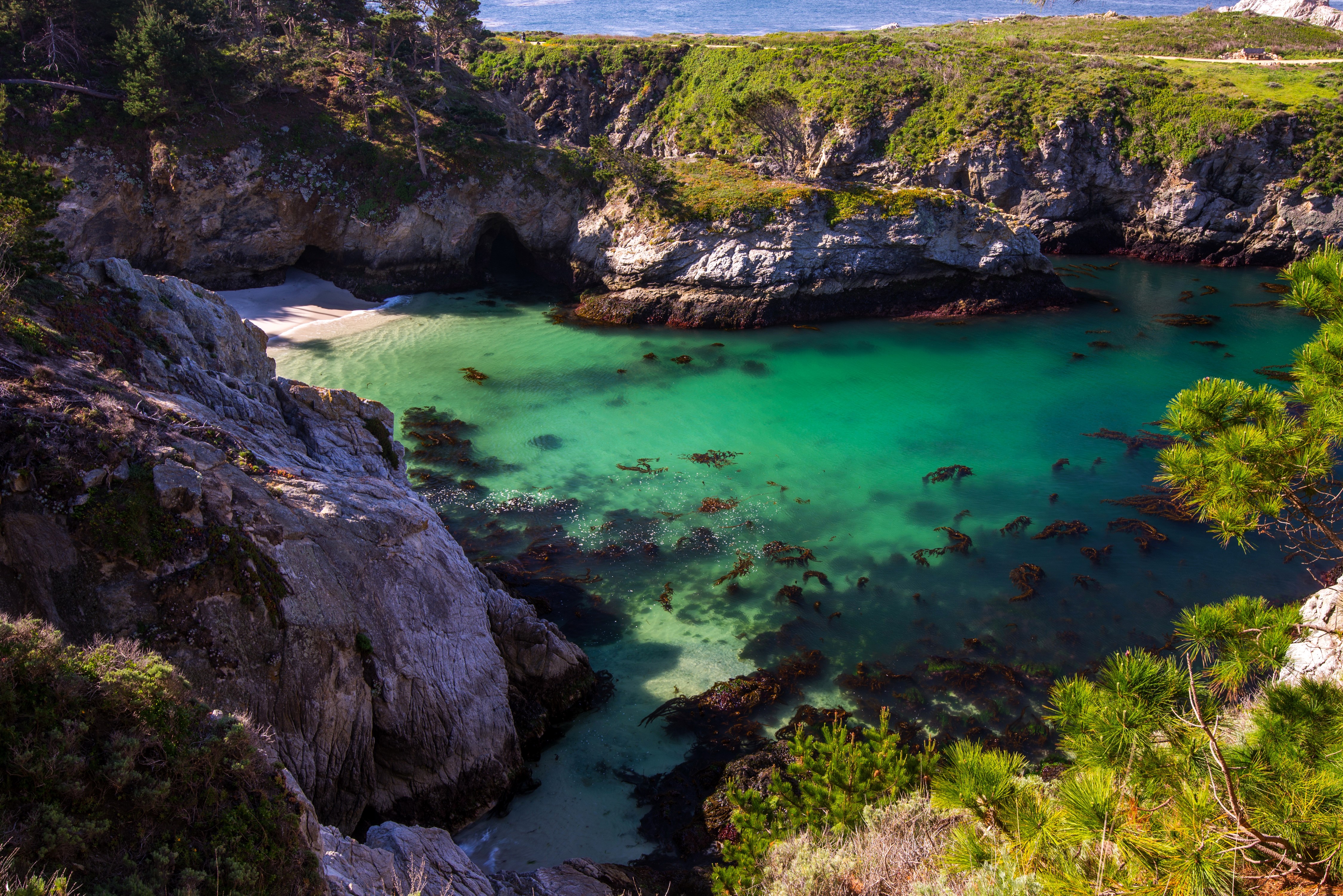 Point Lobos State Park Cove 4K HD Wallpaper