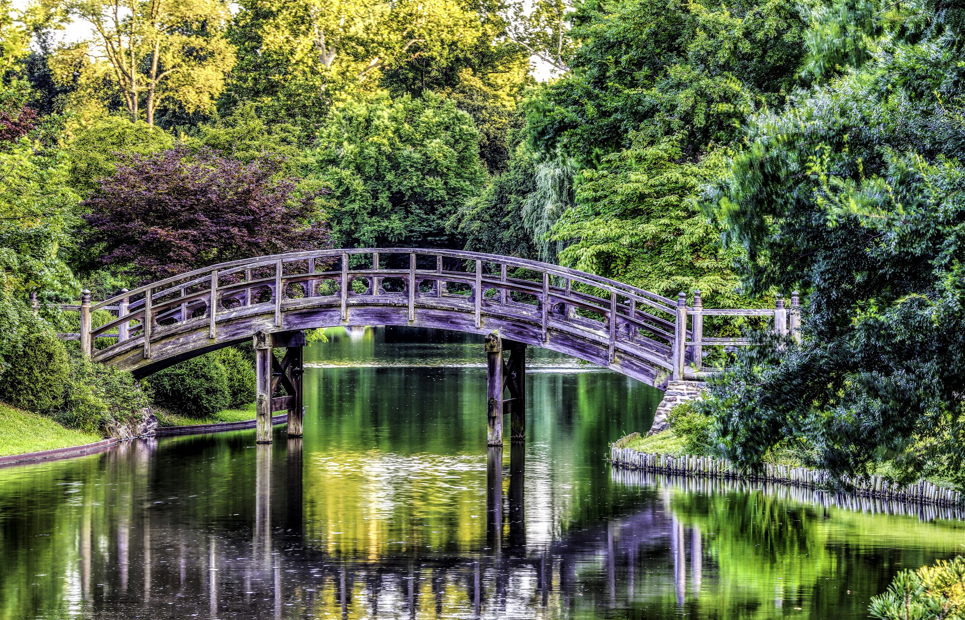 Wooden bridge over a river at Missouri Botanical Garden HD Wallpaper
