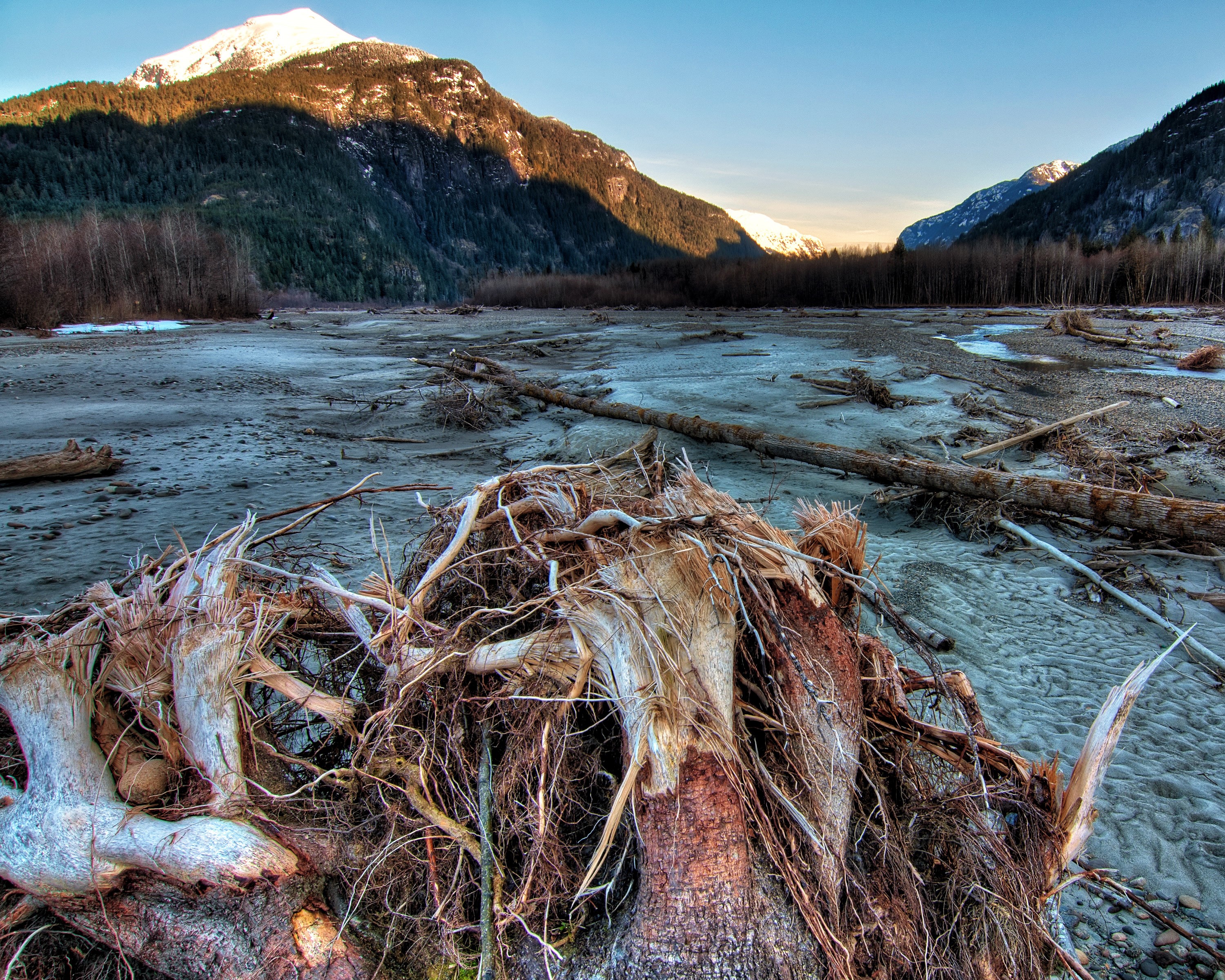 Driftwood in a mountain valley at Squamish, Canada HD Wallpaper