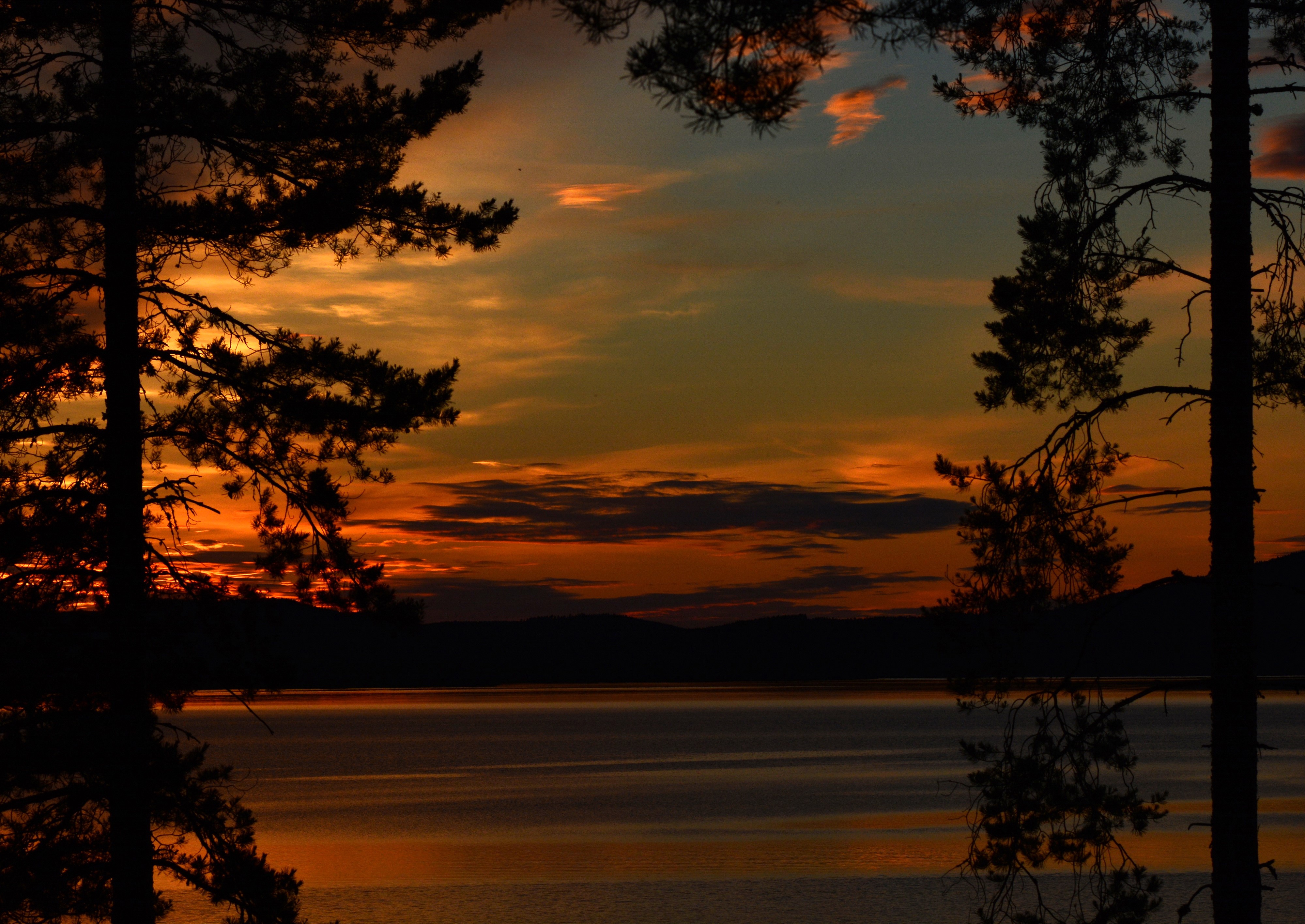 Sunset over a lake with trees HD Wallpaper