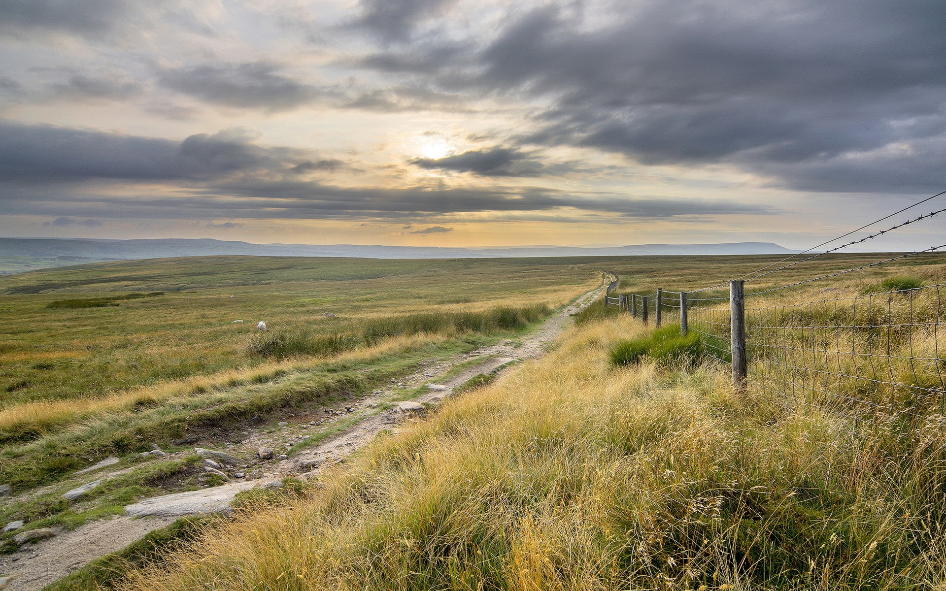 Dirt path through grassy fields with a fence and cloudy sky HD Wallpaper