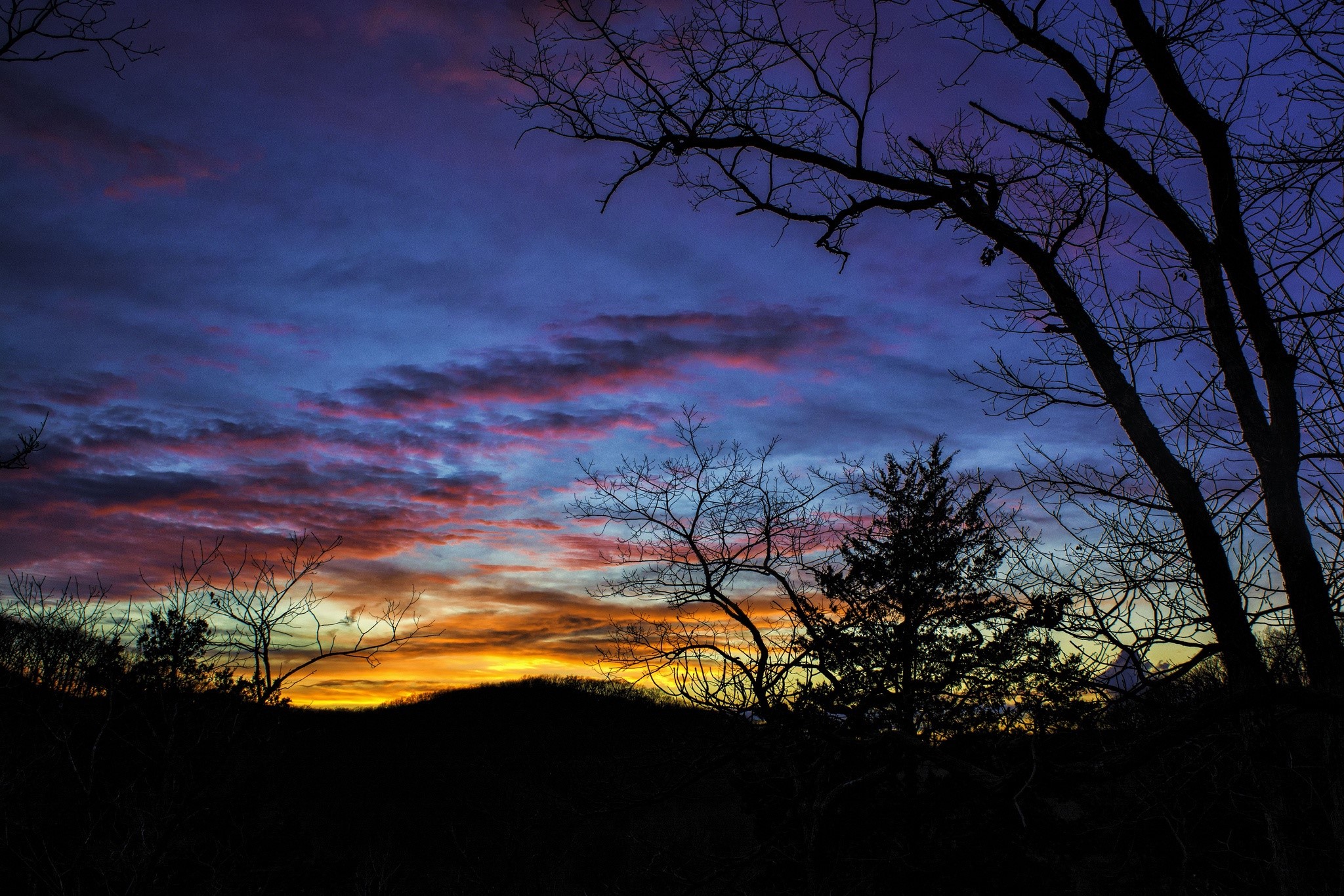 Sunset with silhouetted trees and colorful clouds HD Wallpaper
