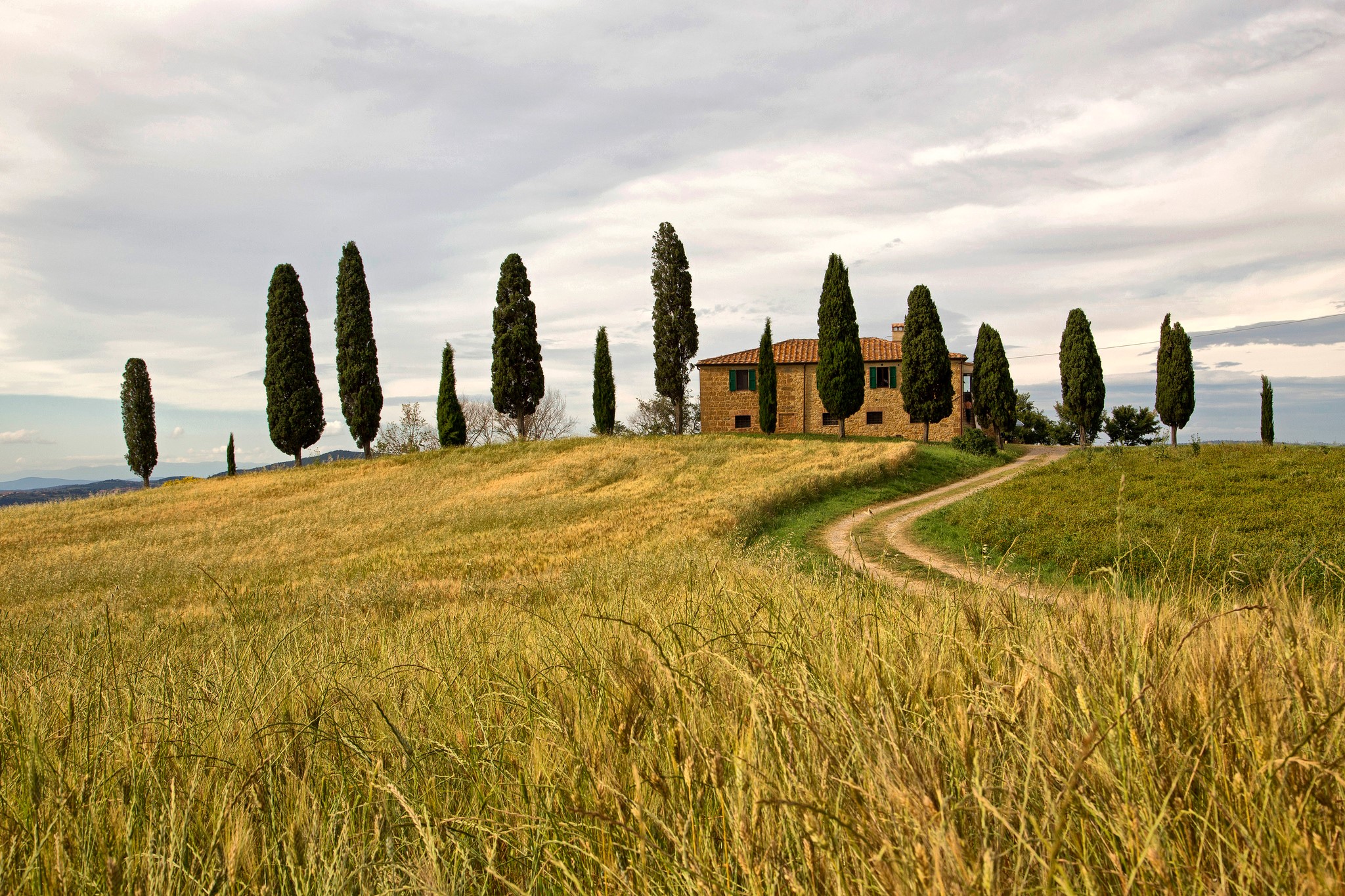 Tuscan farmhouse with cypress trees and fields in Italy HD Wallpaper