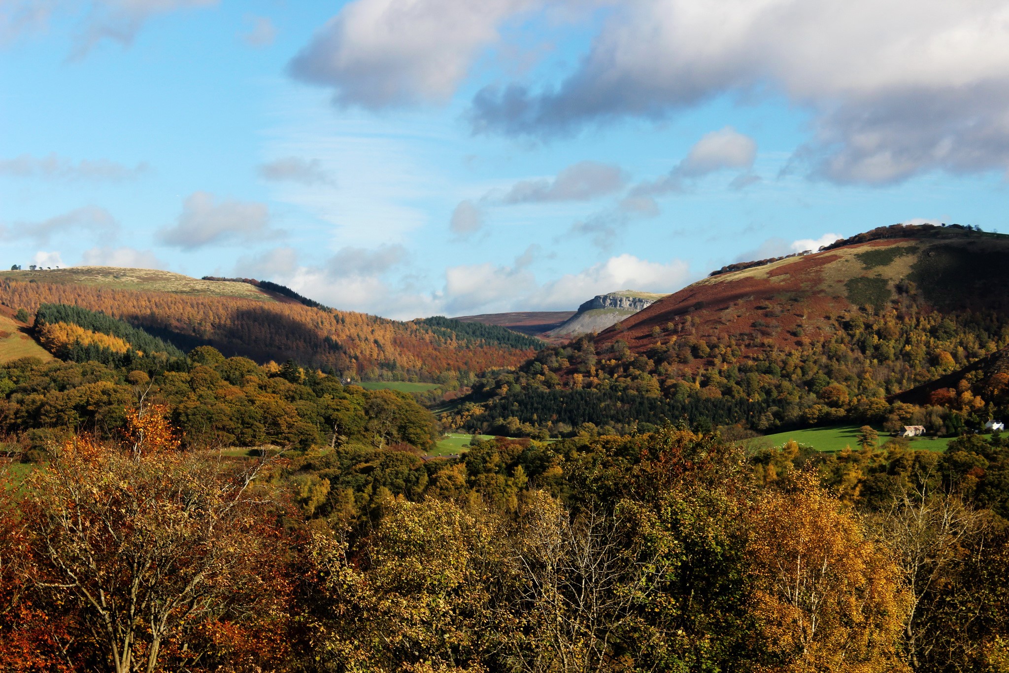 Autumnal valley in Llangollen, United Kingdom HD Wallpaper
