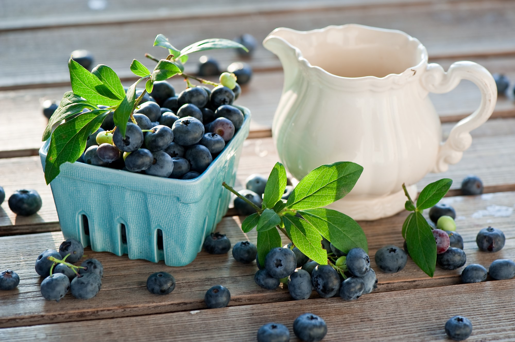 Blueberries in a basket with a pitcher HD Wallpaper