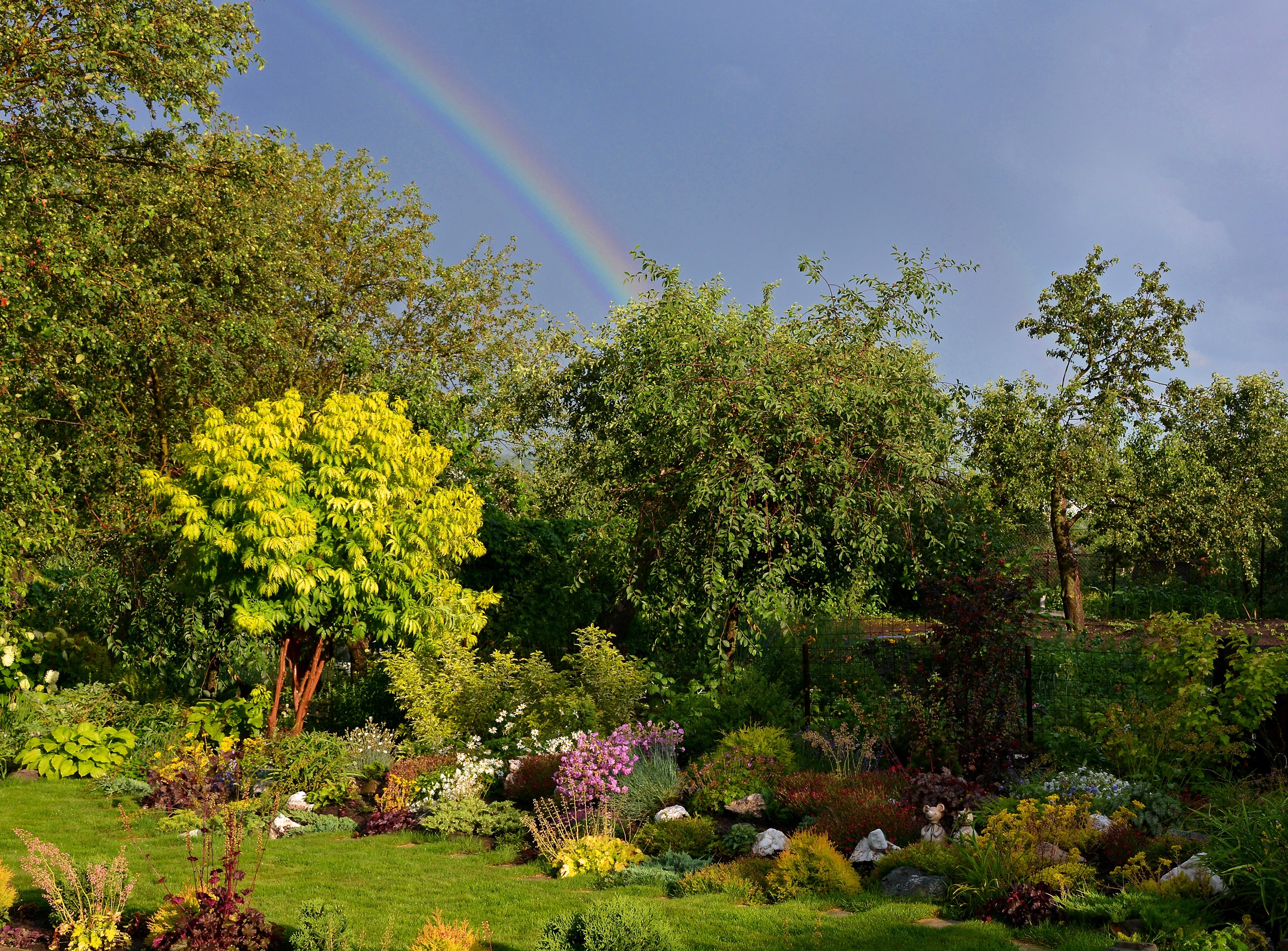 Garden with trees and a rainbow HD Wallpaper