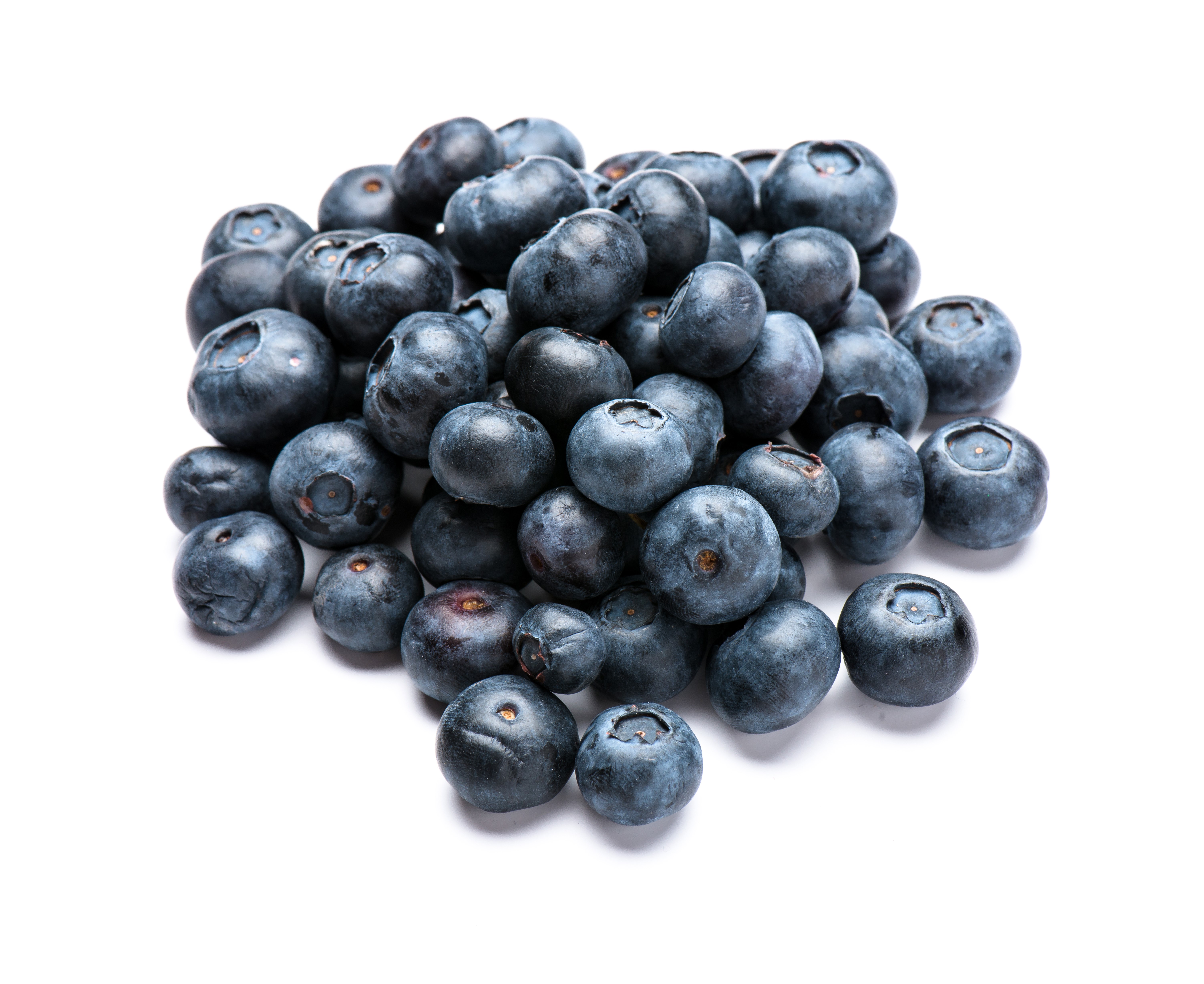 Blueberries HD Wallpaper
