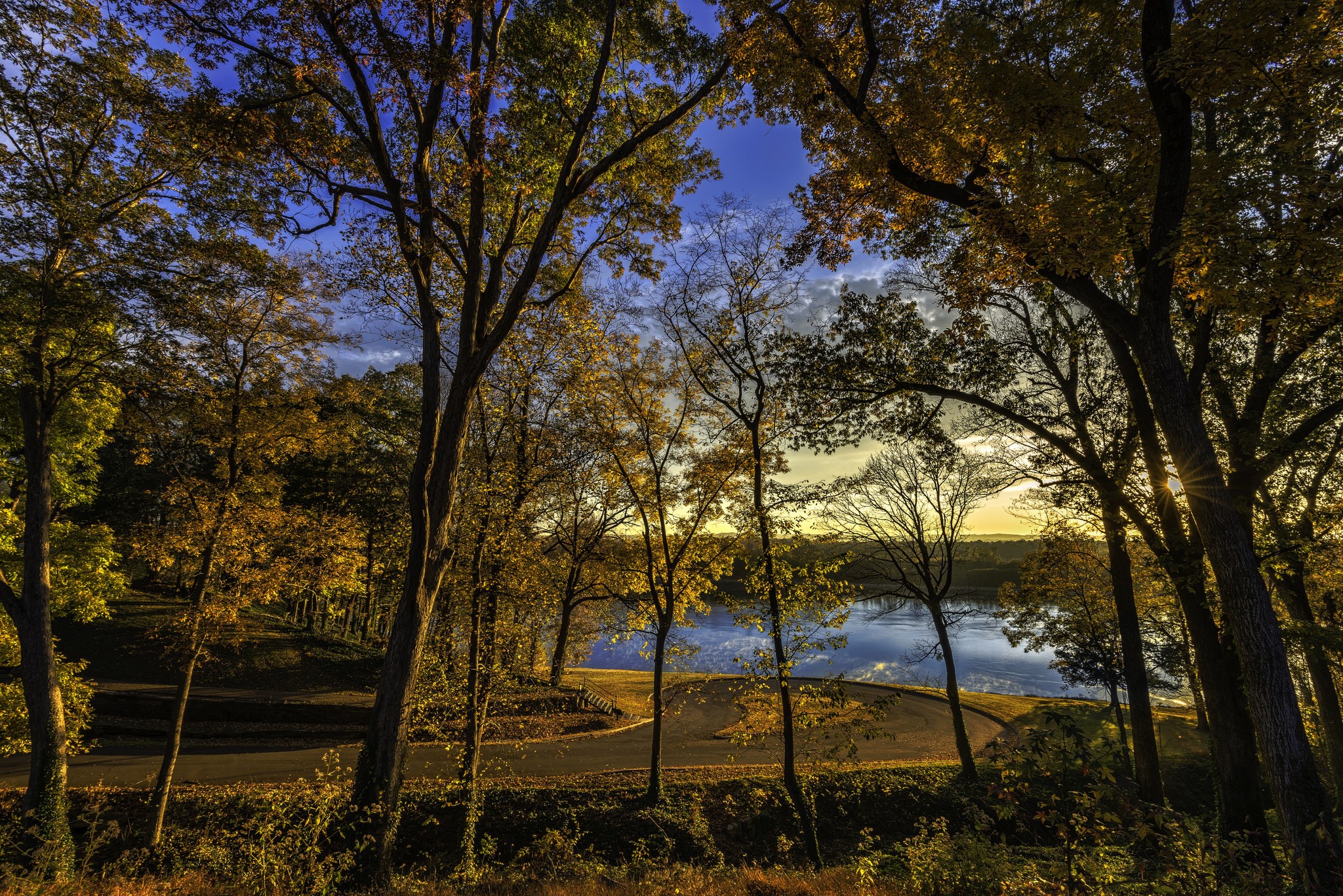 Autumn trees by a lake at sunset HD Wallpaper