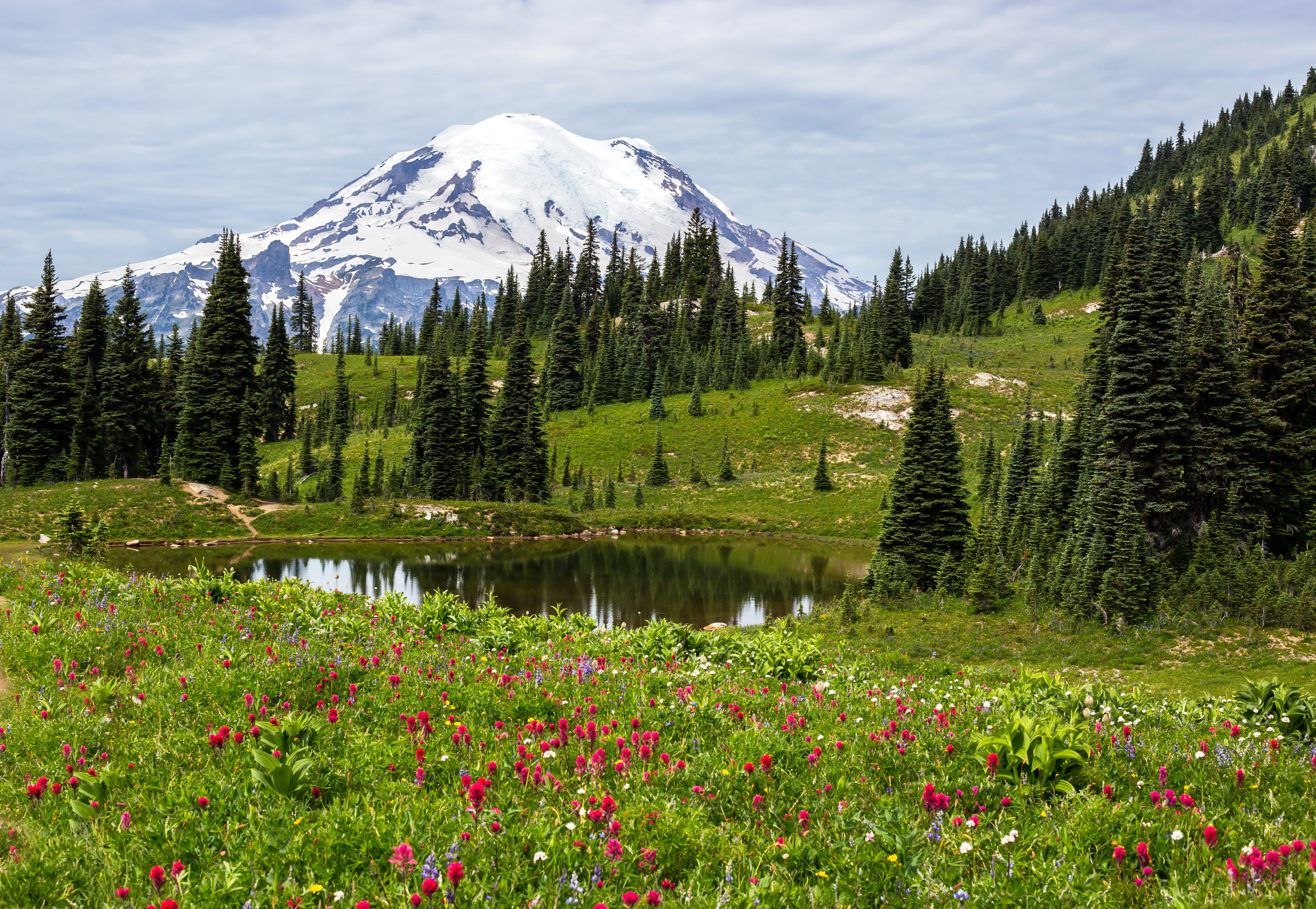 Snow-capped mountain overlooking a lake and wildflower meadow HD Wallpaper