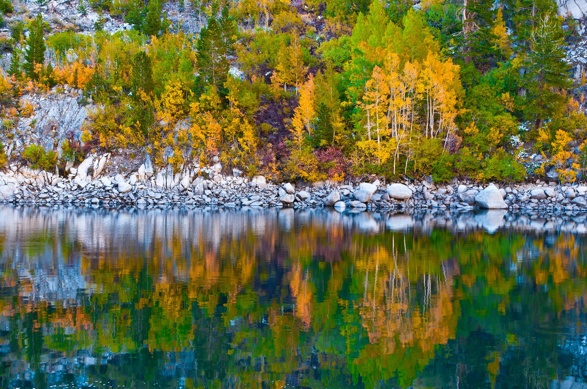Autumn trees reflecting in a lake HD Wallpaper